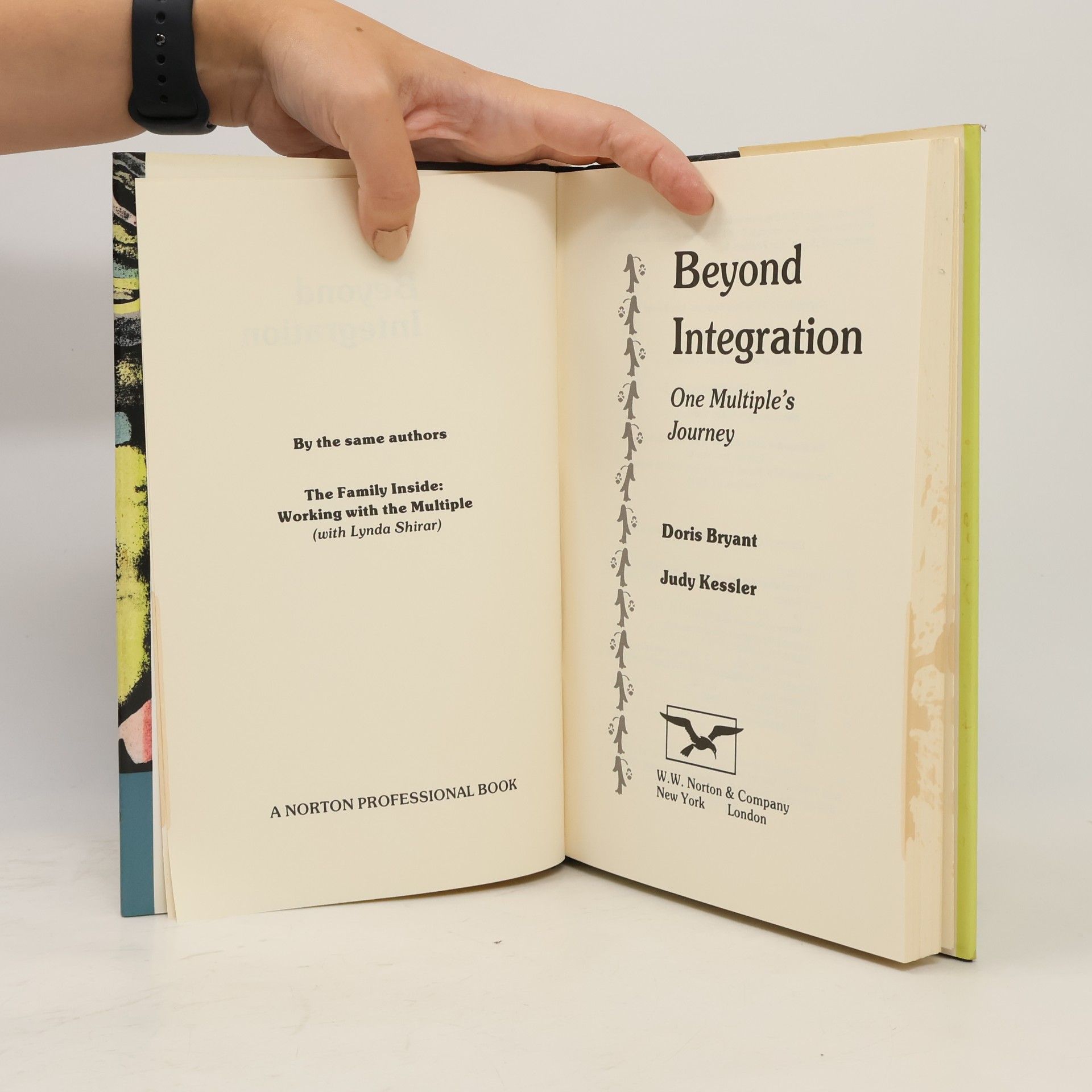 Doris Bryant Beyond Integration