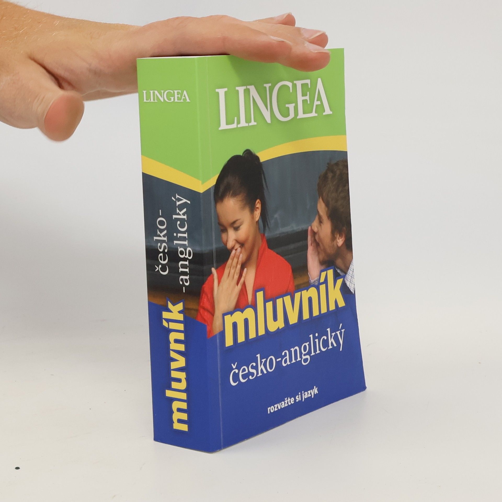 Autorenkollektiv Česko-anglický mluvník