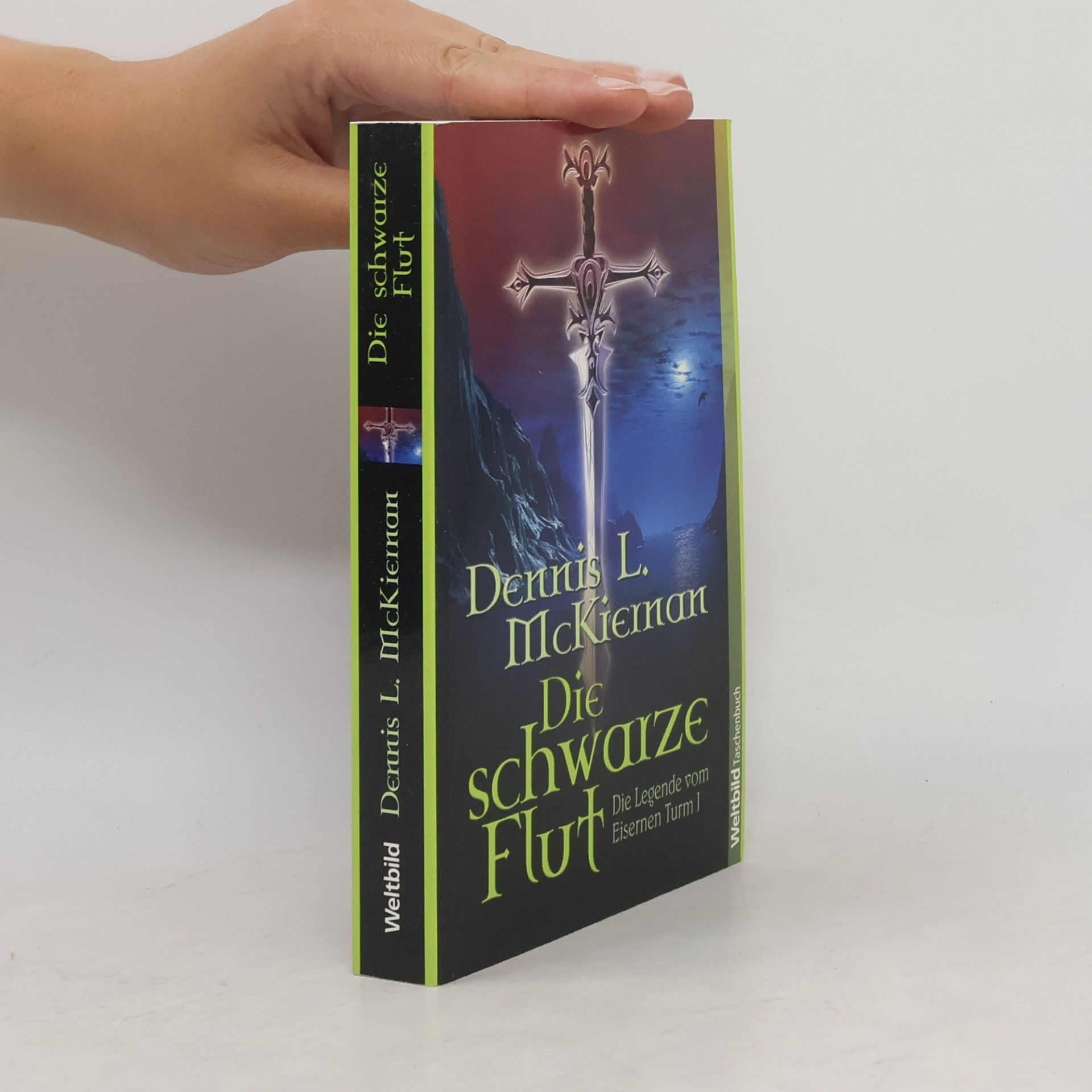 Dennis L. McKiernan Die schwarze Flut