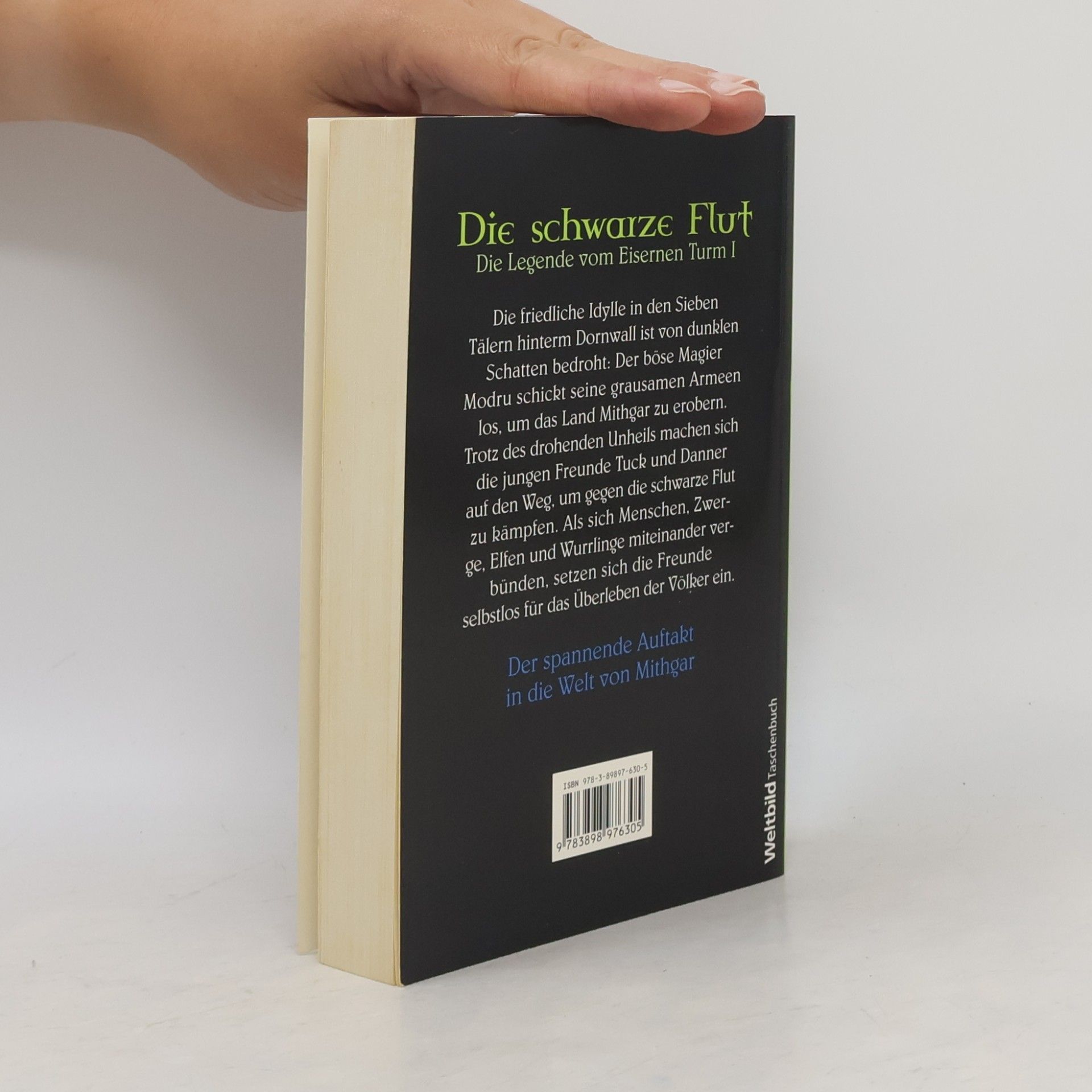 Dennis L. McKiernan Die schwarze Flut