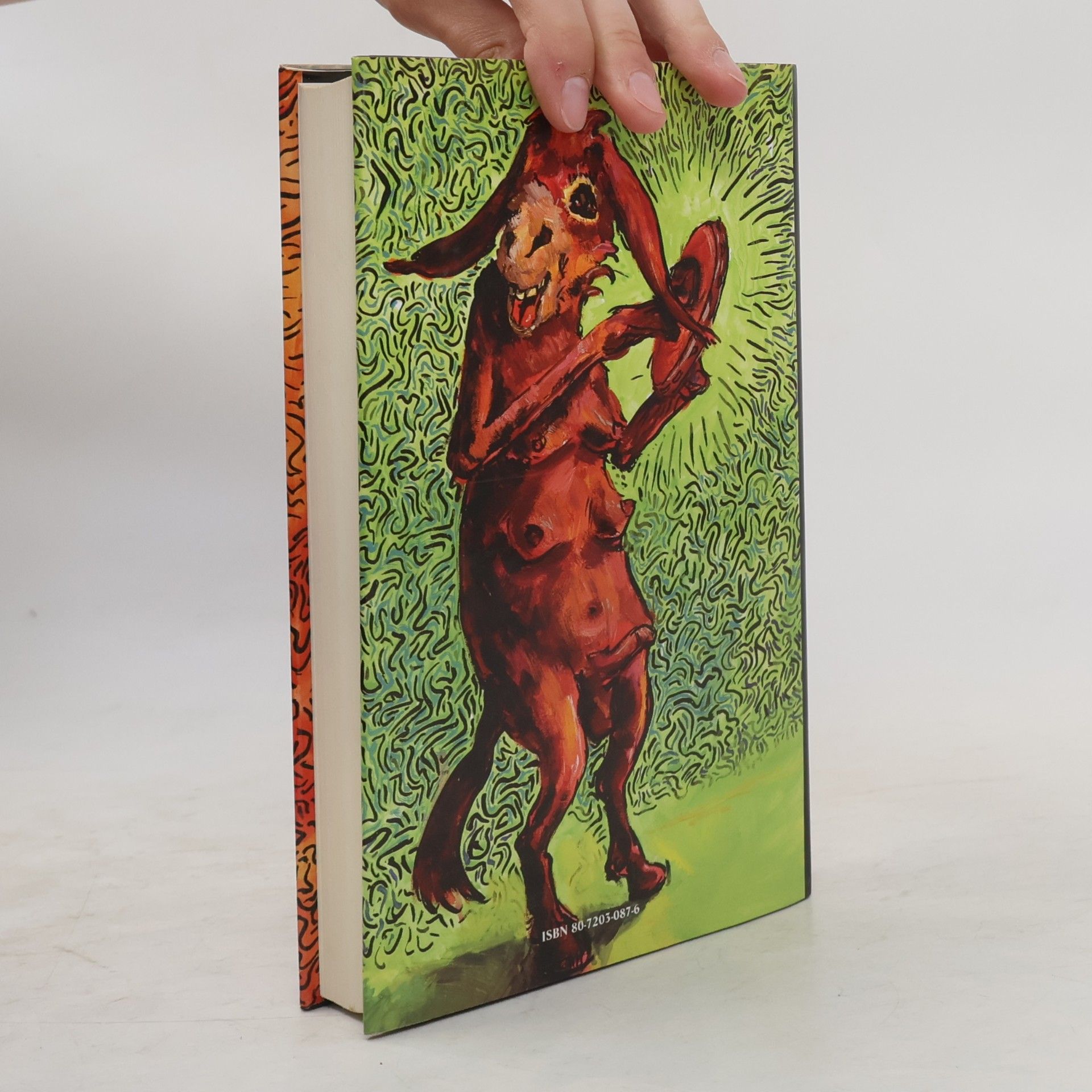Tom Robbins Hubené nohy a všechno ostatní