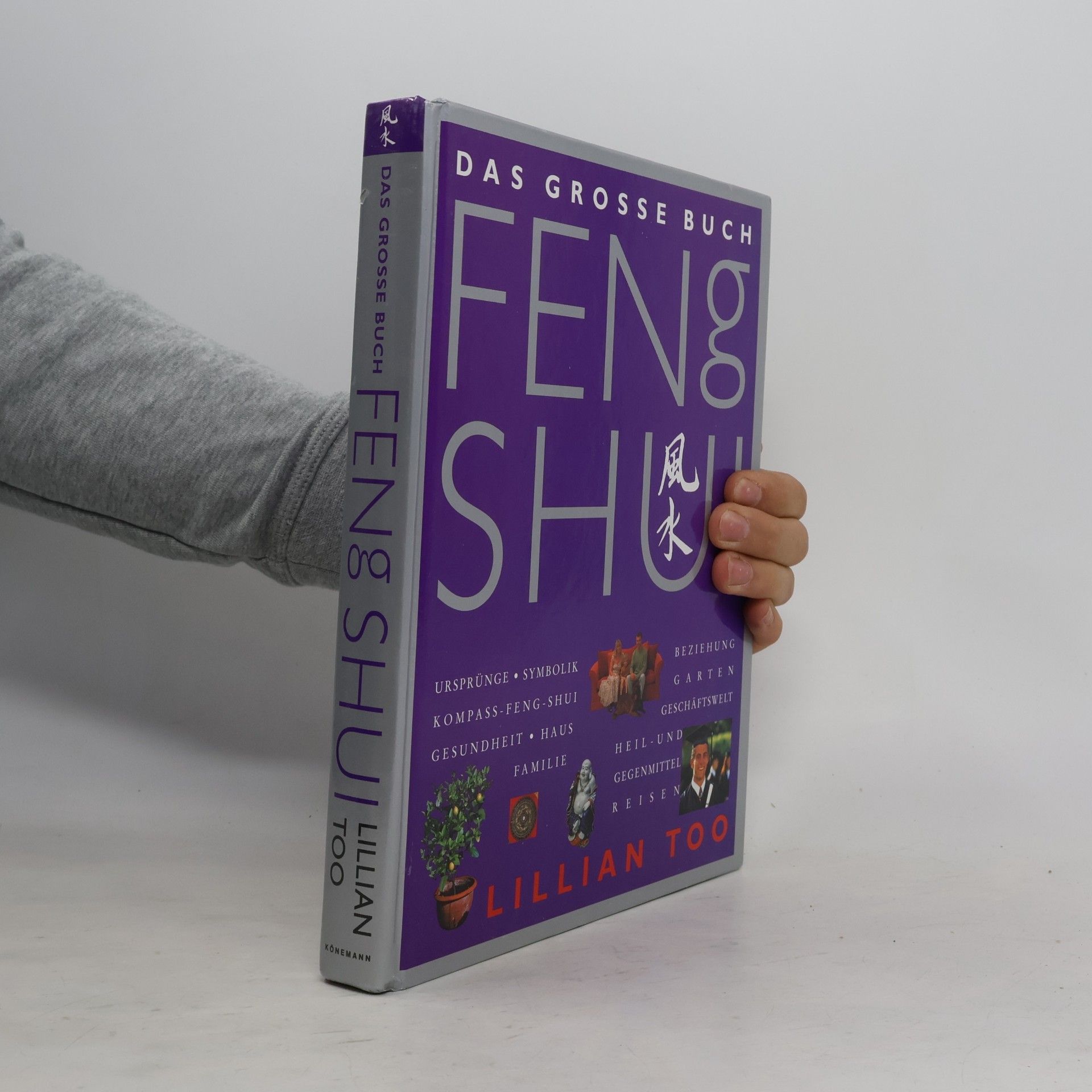 Lillian Too Das grosse Buch Feng Shui