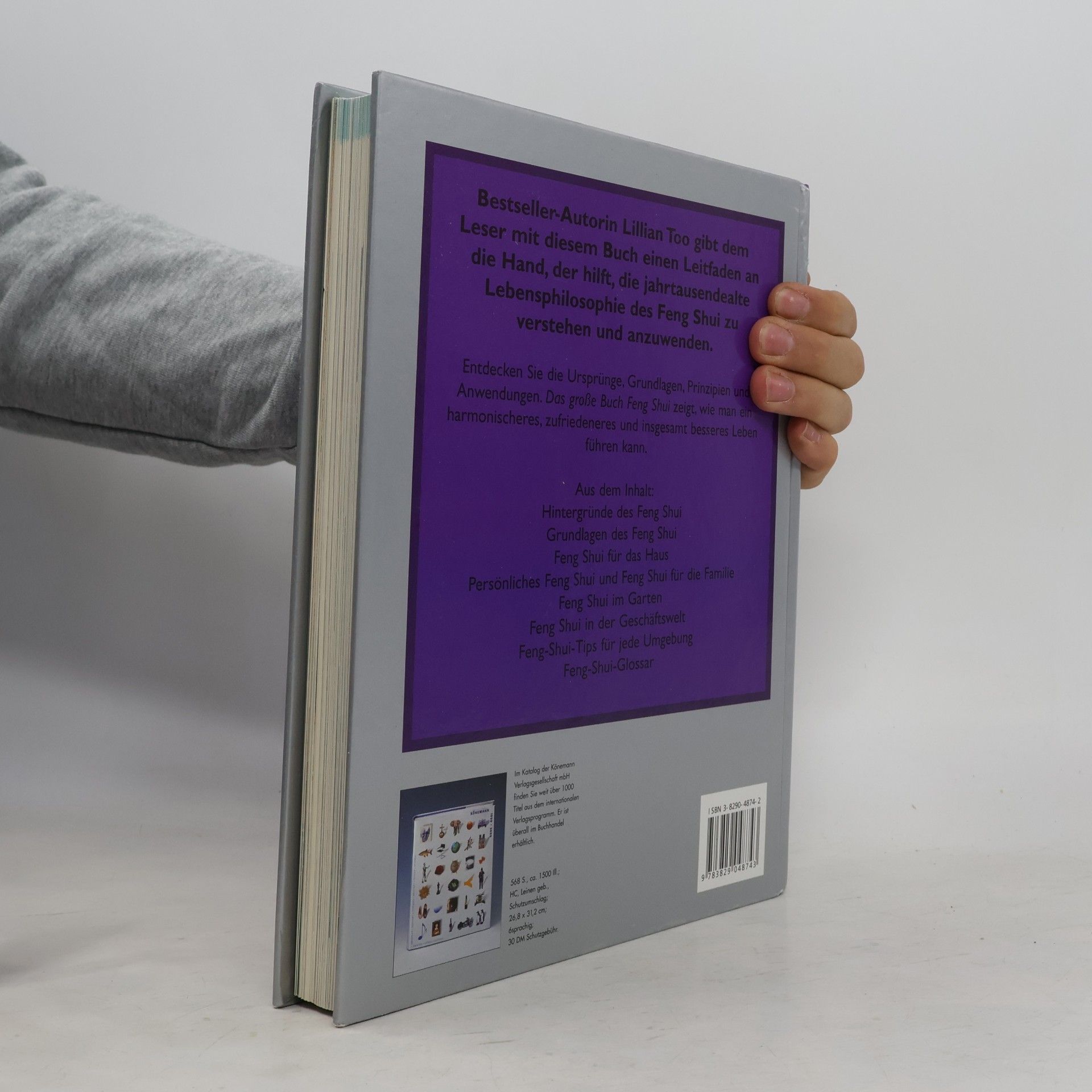 Lillian Too Das grosse Buch Feng Shui