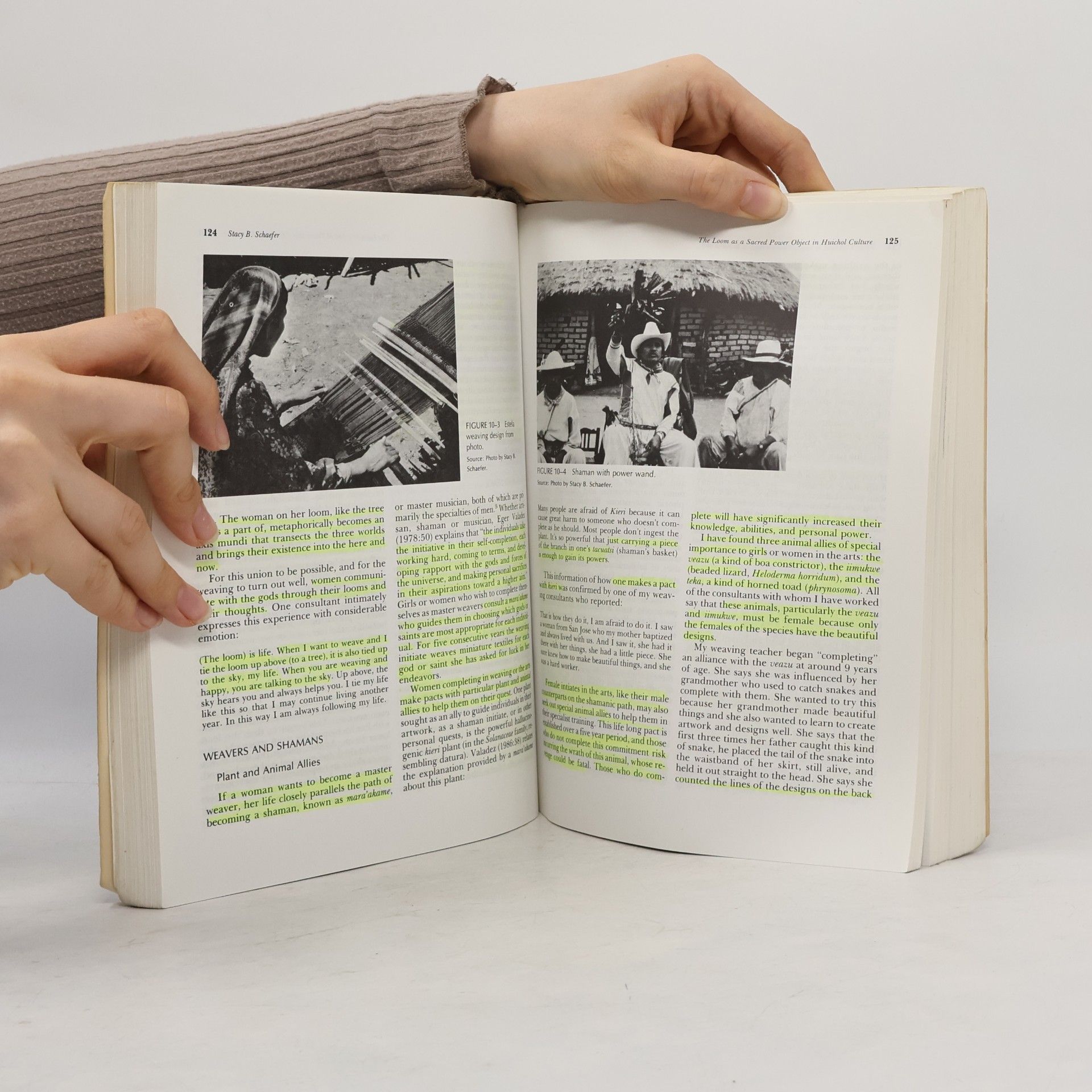 Richard L. Anderson Art In Small Scale Societies