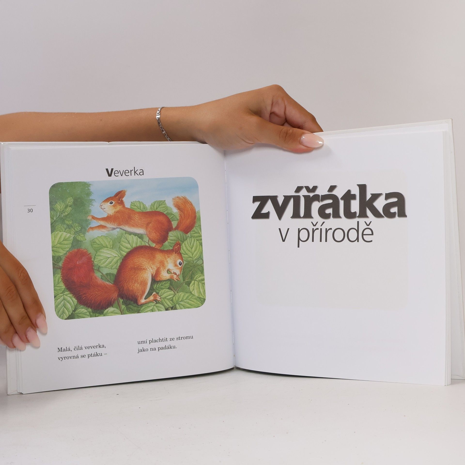 Jiří Žáček Kamarádi zvířátka
