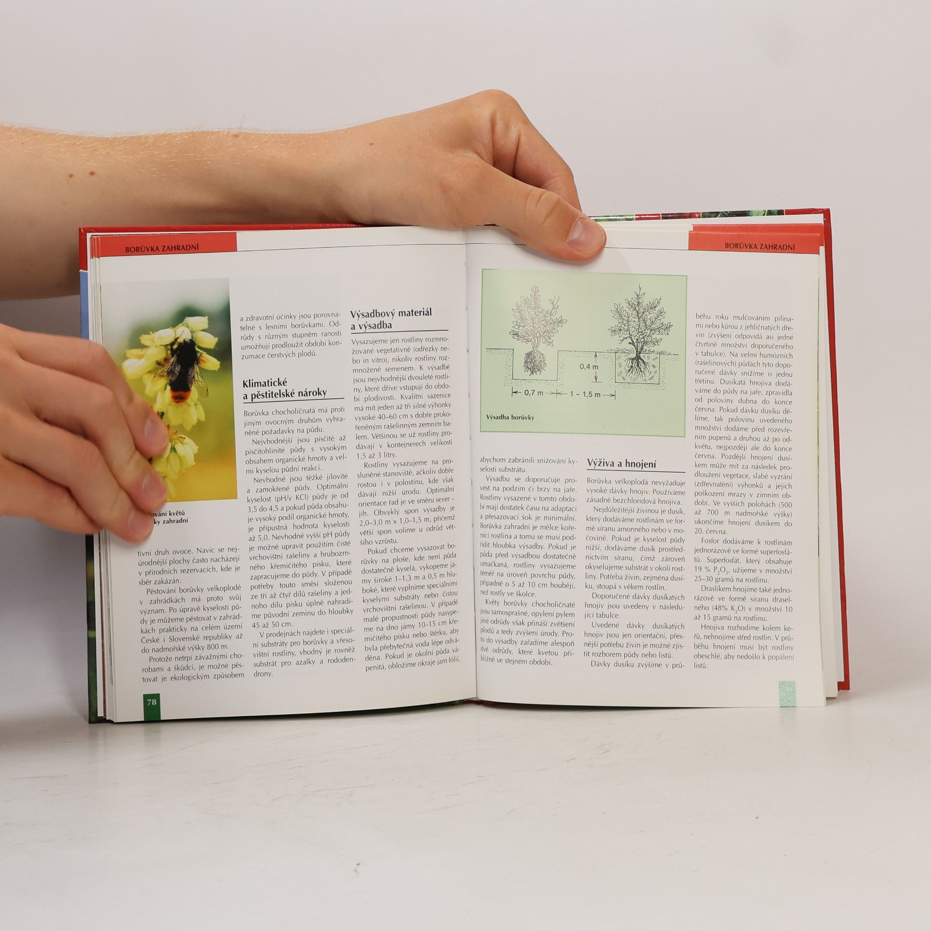 Ivan Hričovský Drobné ovoce a méně známé druhy ovoce