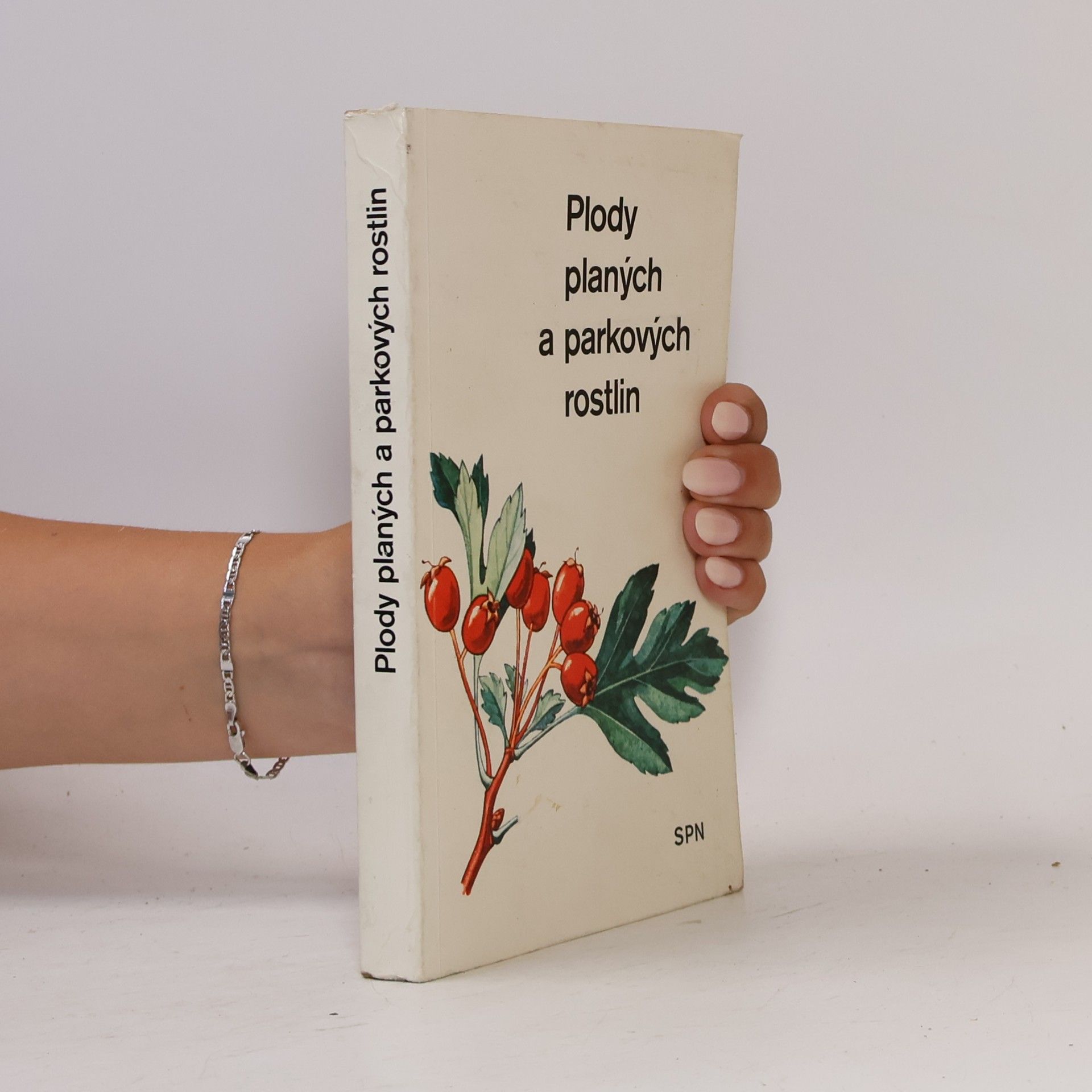 Alois Mikula Plody planých a parkových rostlin : kapesní atlas : pomocná kniha pro biologické zájmové kroužky na školách, v Domech pionýrů a