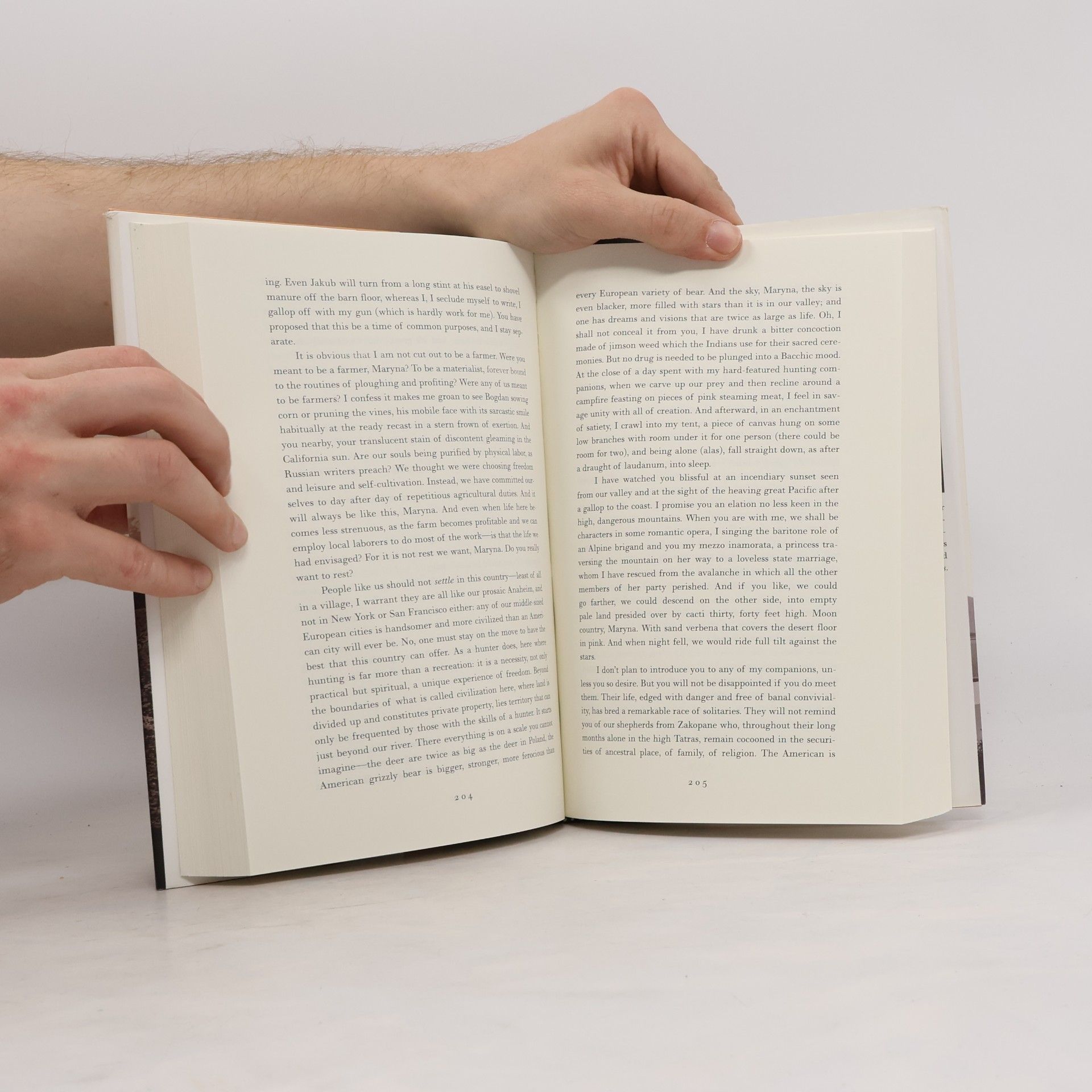 Susan Sontag In America