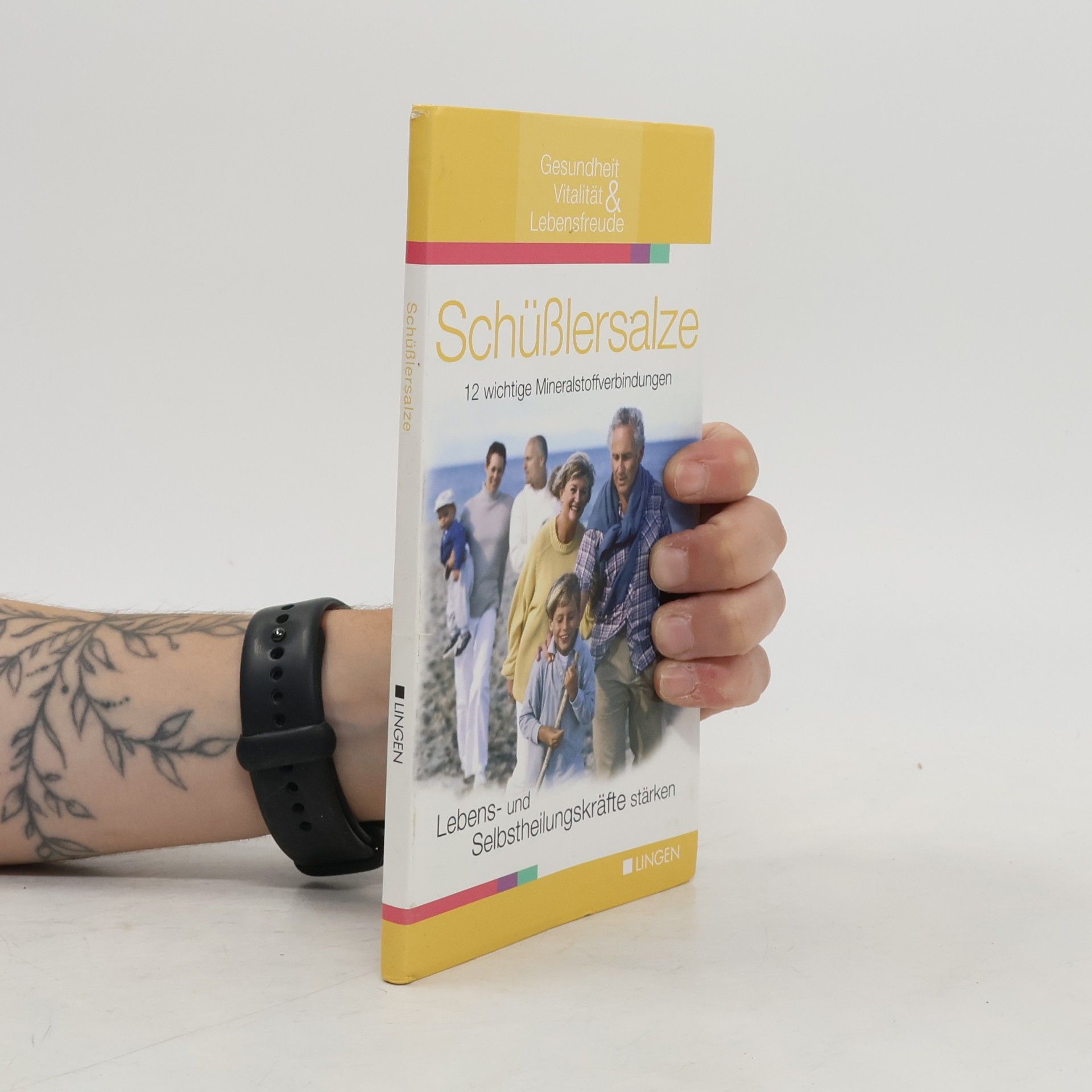 Autorenkollektiv Schüßlersalze: 12 wichtige Mineralstoffverbindungen; Lebens- und Selbstheilungskräfte stärken