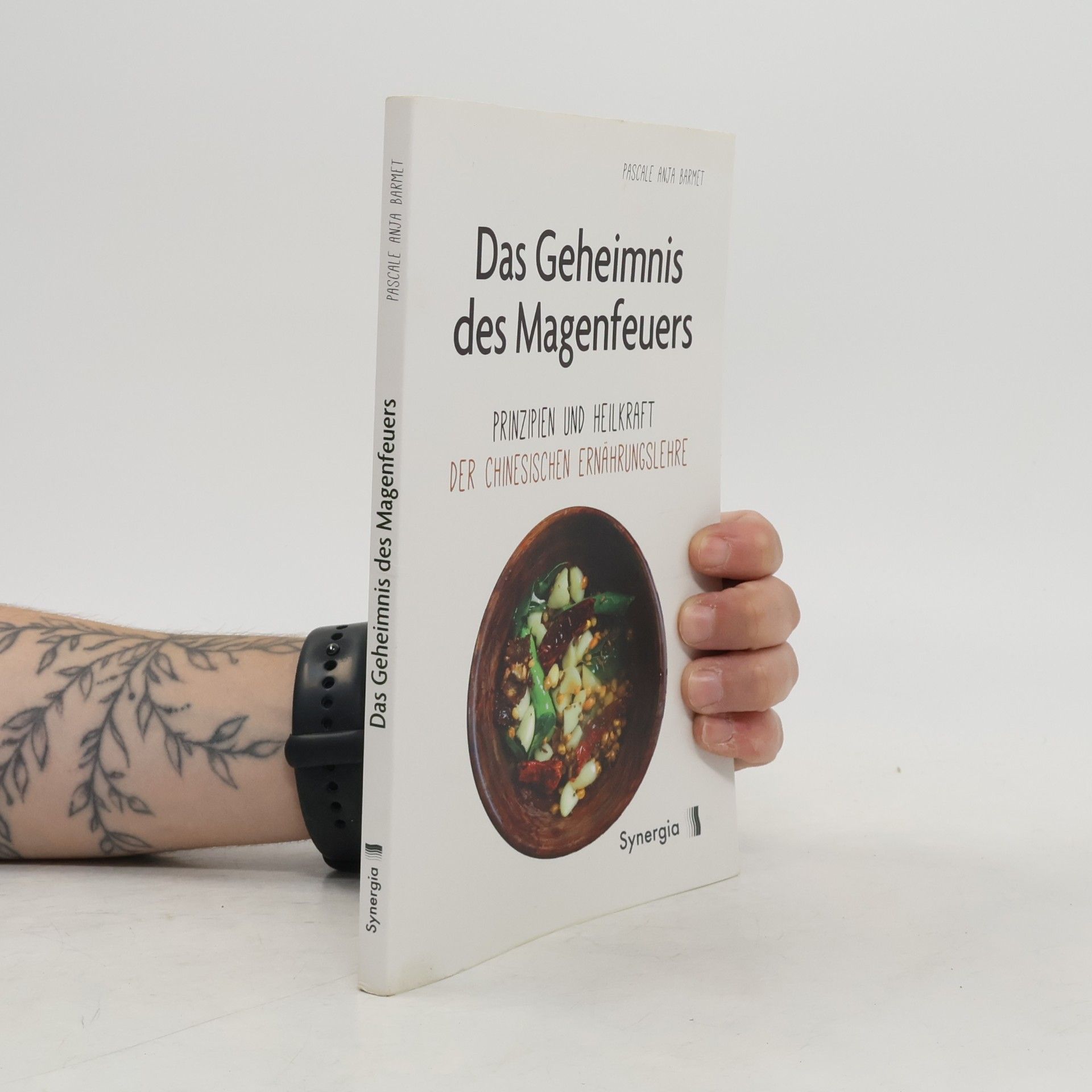 Pascale Anja Barmet Das Geheimnis des Magenfeuers