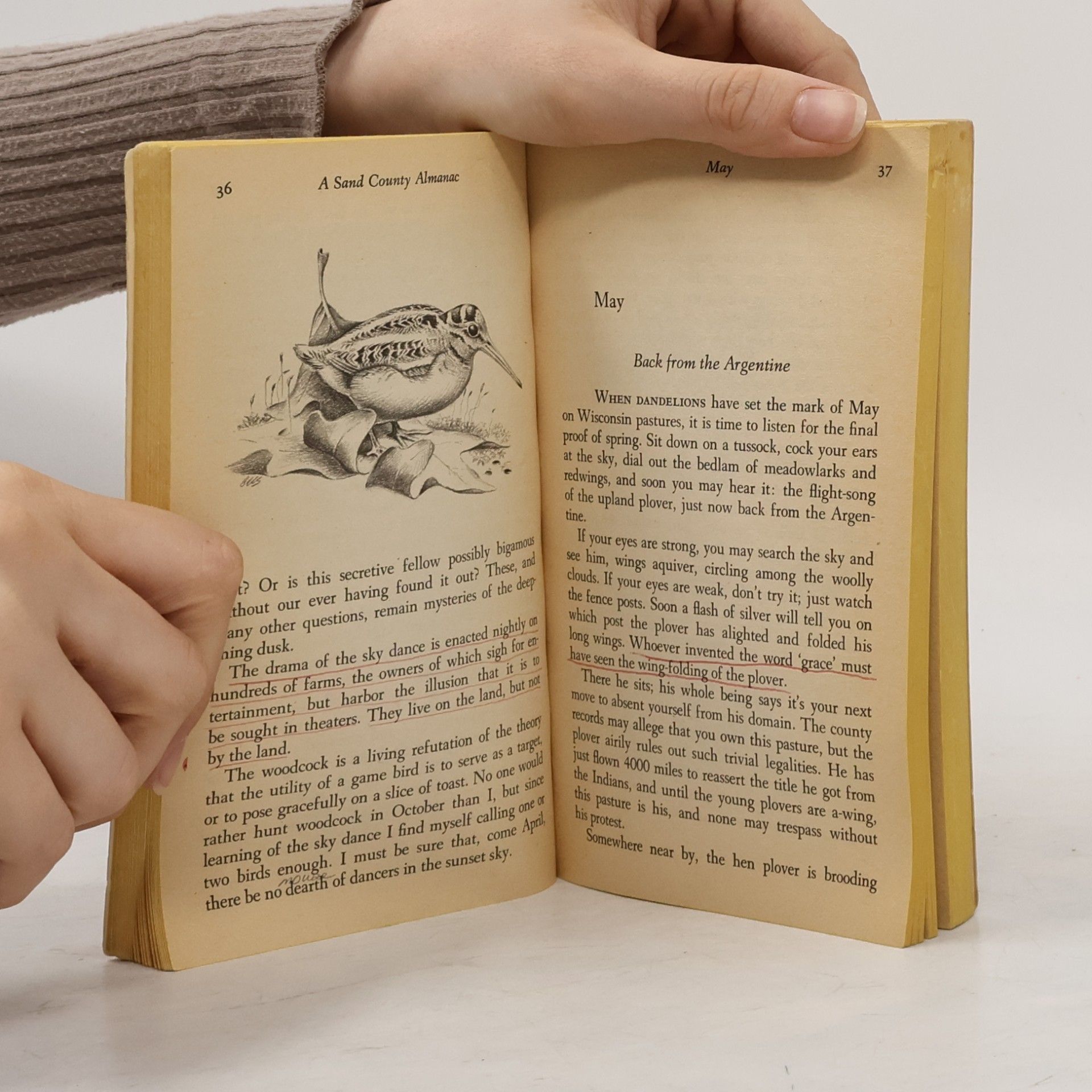 Aldo Leopold Sand County Almanac