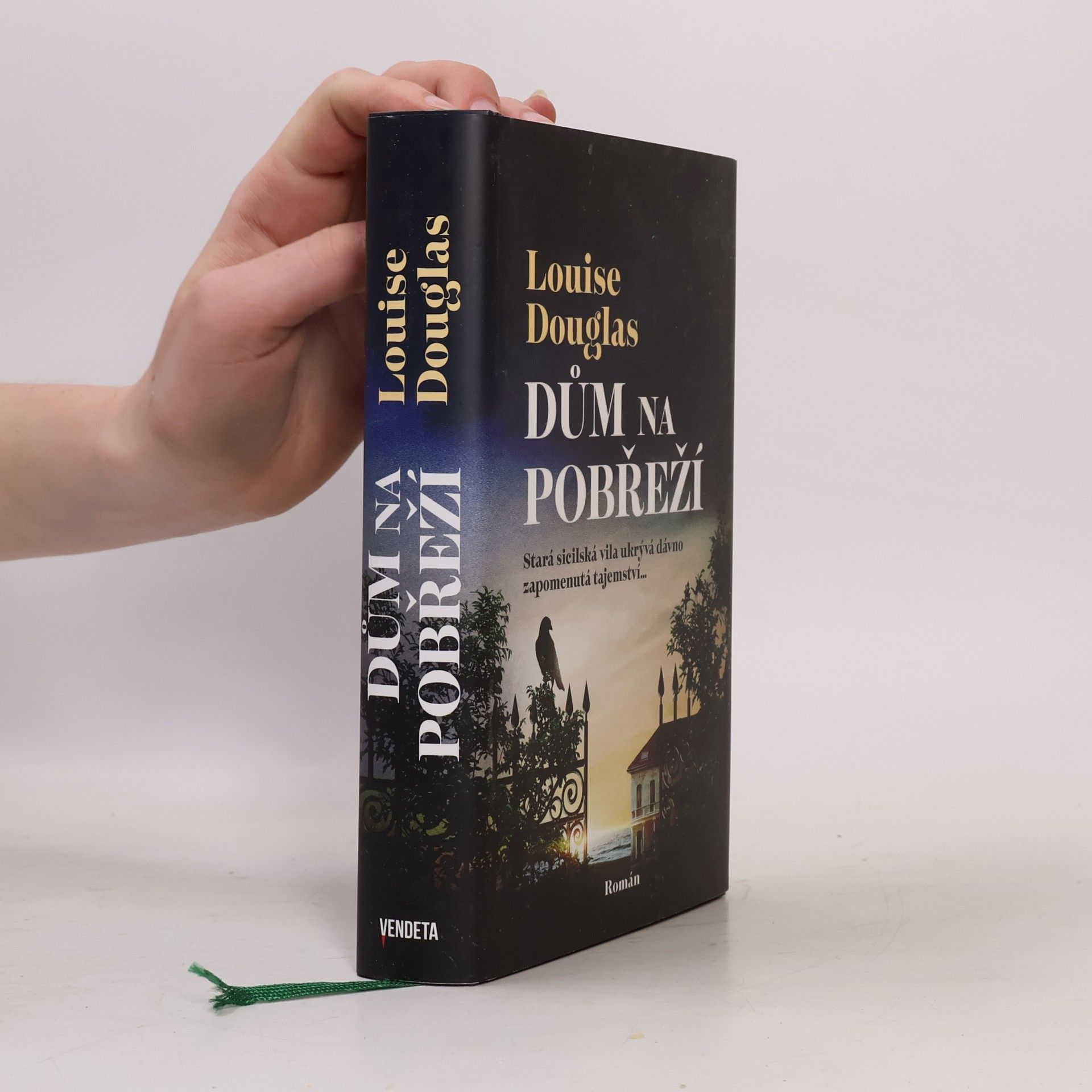Pavla Koós Dům na pobřeží