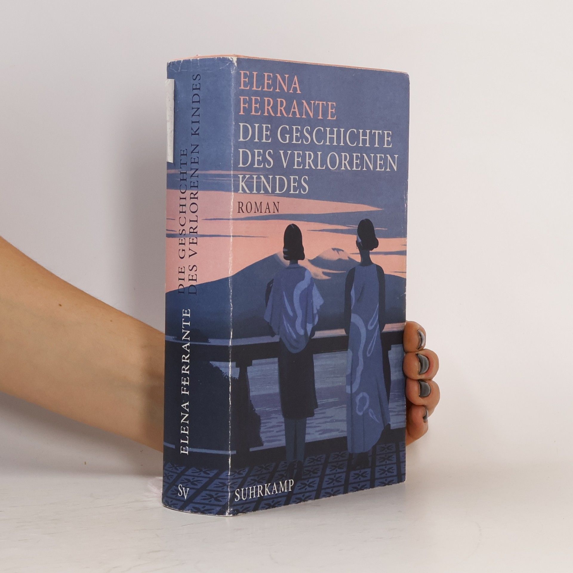 Elena Ferrante Die Geschichte Des Verlorenen Kindes