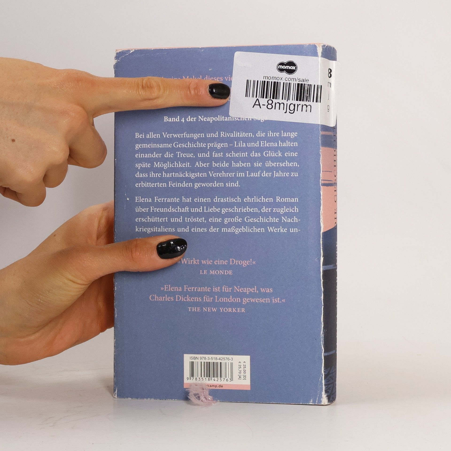 Elena Ferrante Die Geschichte Des Verlorenen Kindes