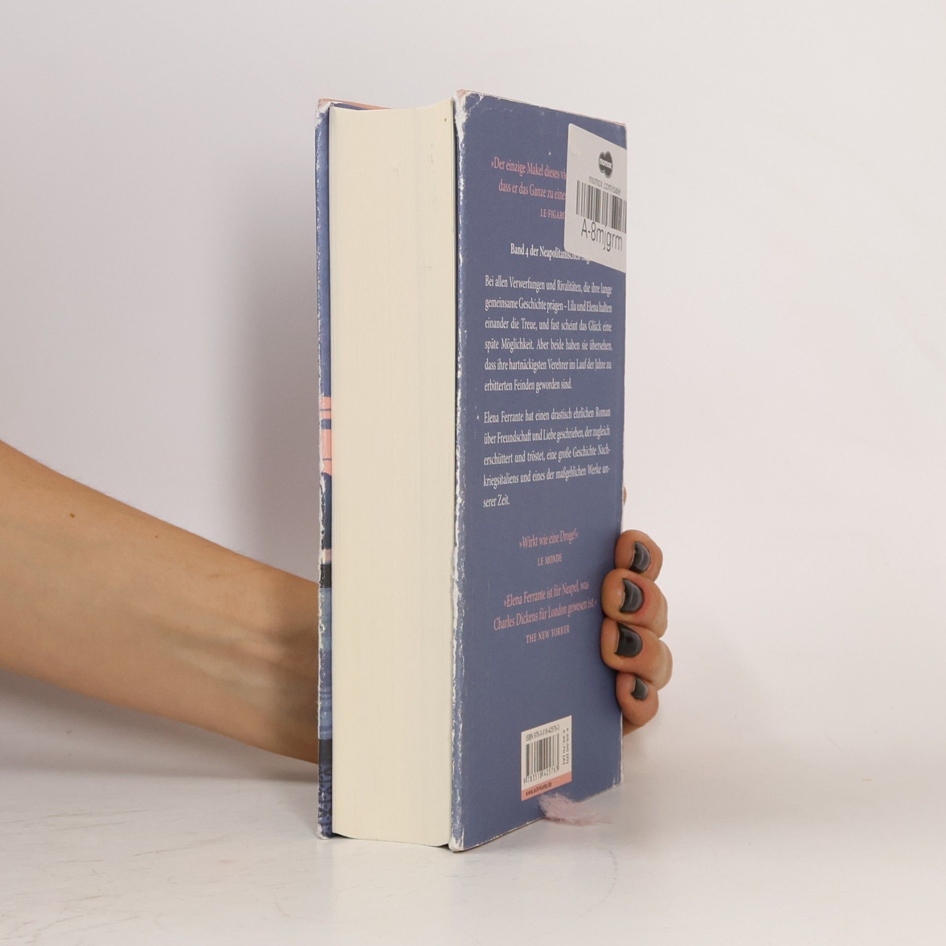 Elena Ferrante Die Geschichte Des Verlorenen Kindes