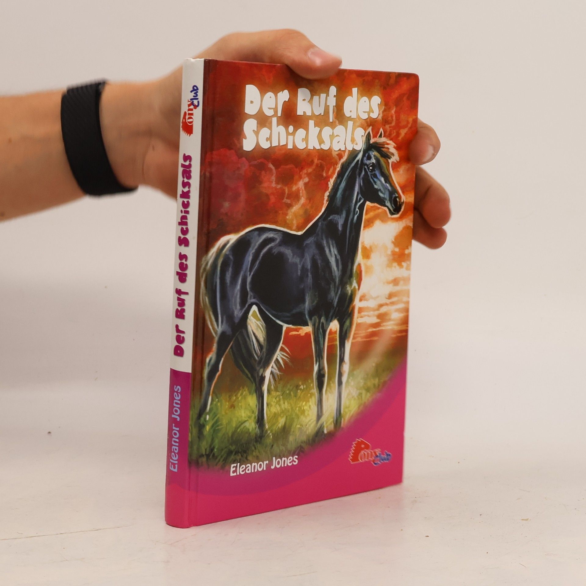 Der Ruf des Schicksals