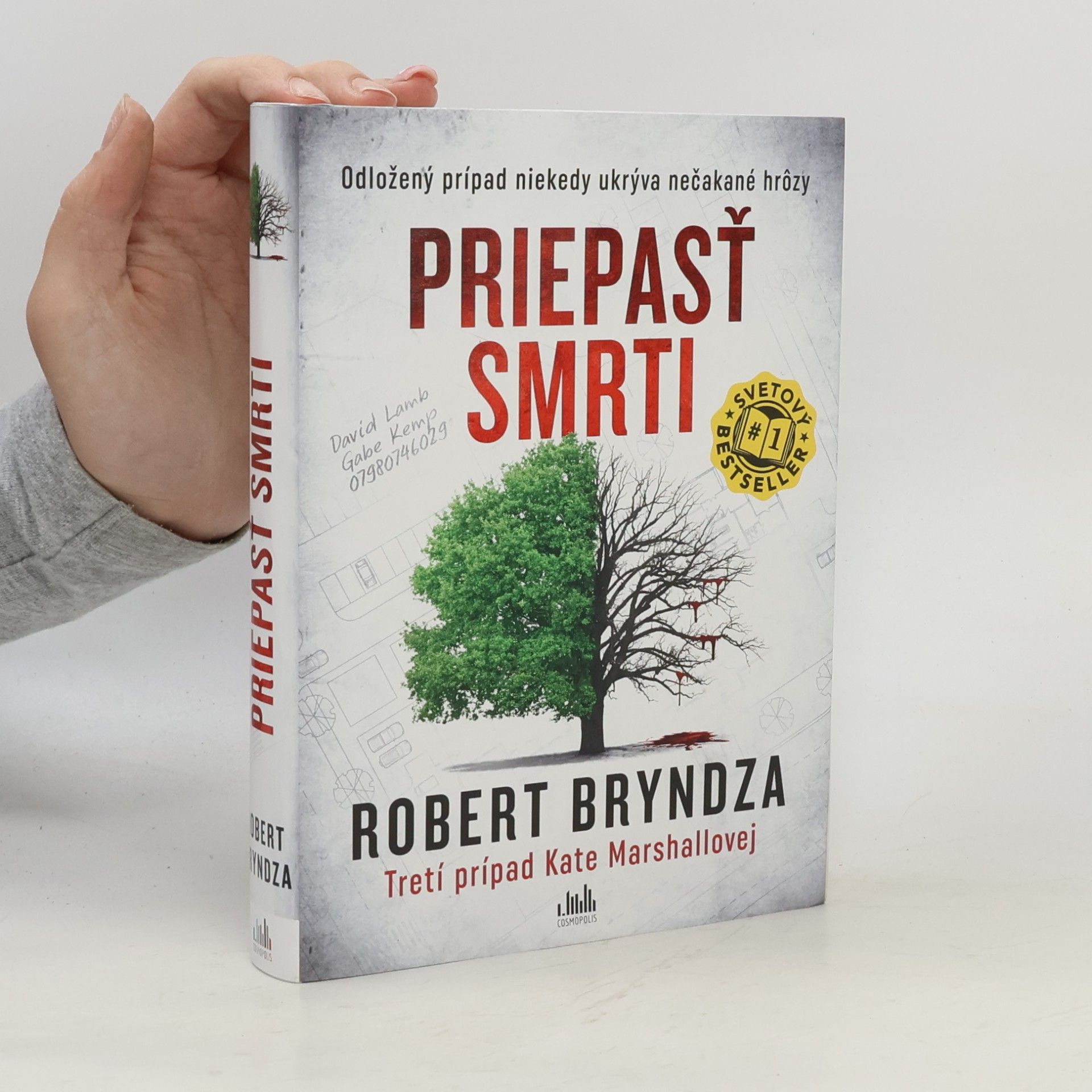 Robert Bryndza Priepasť smrti