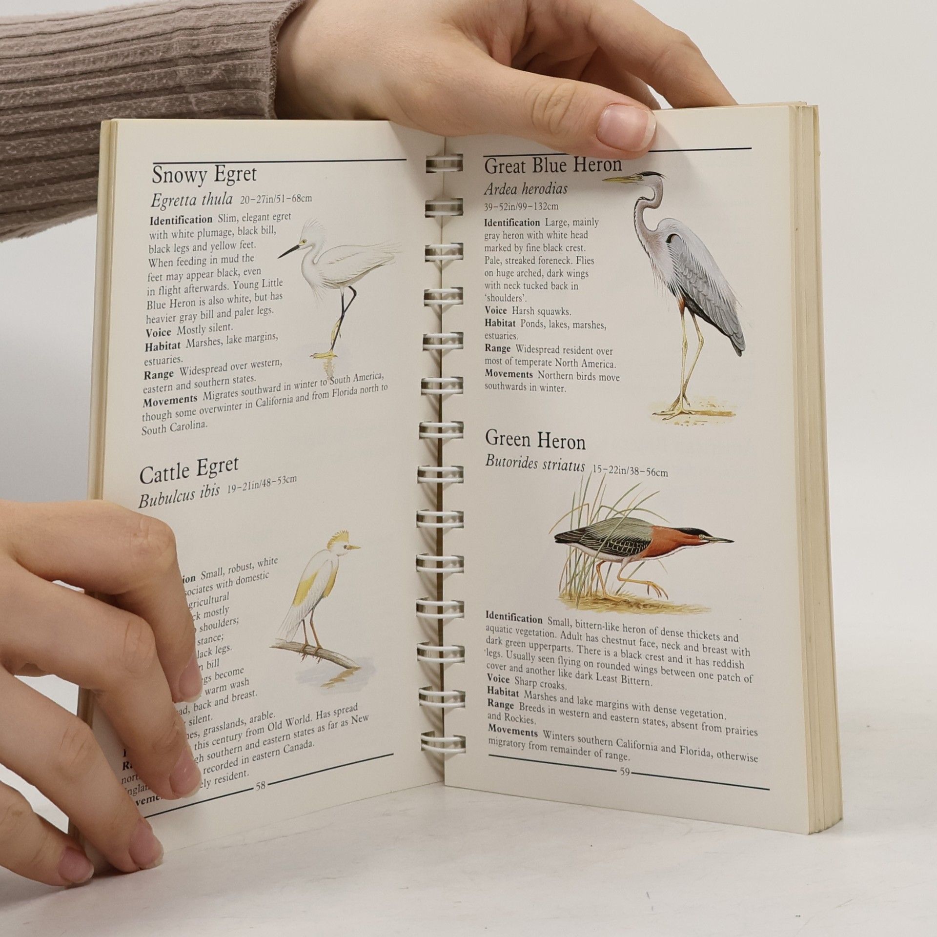 Frank Shaw American Nature Guides Western Birds