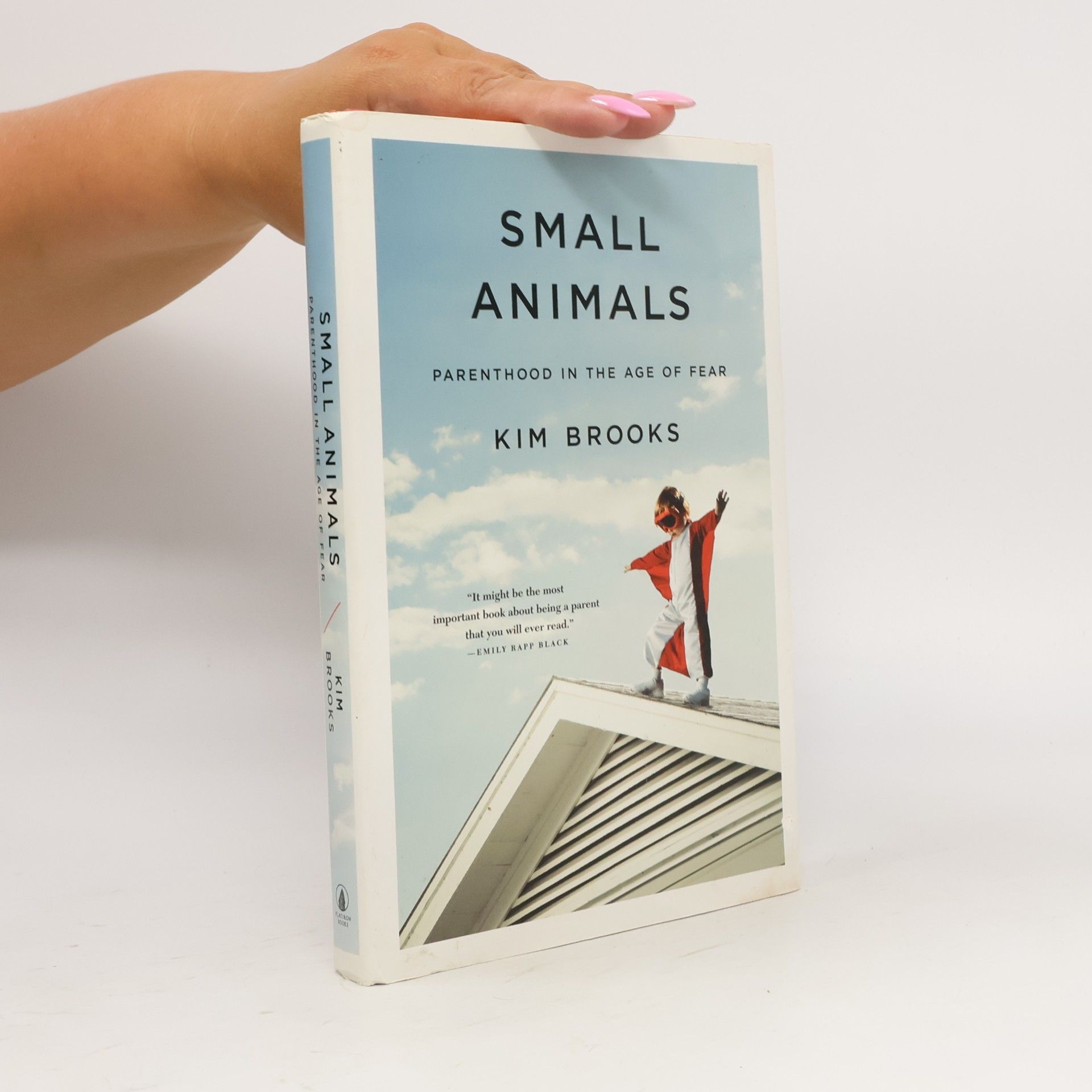 Kimberly Brooks Small Animals