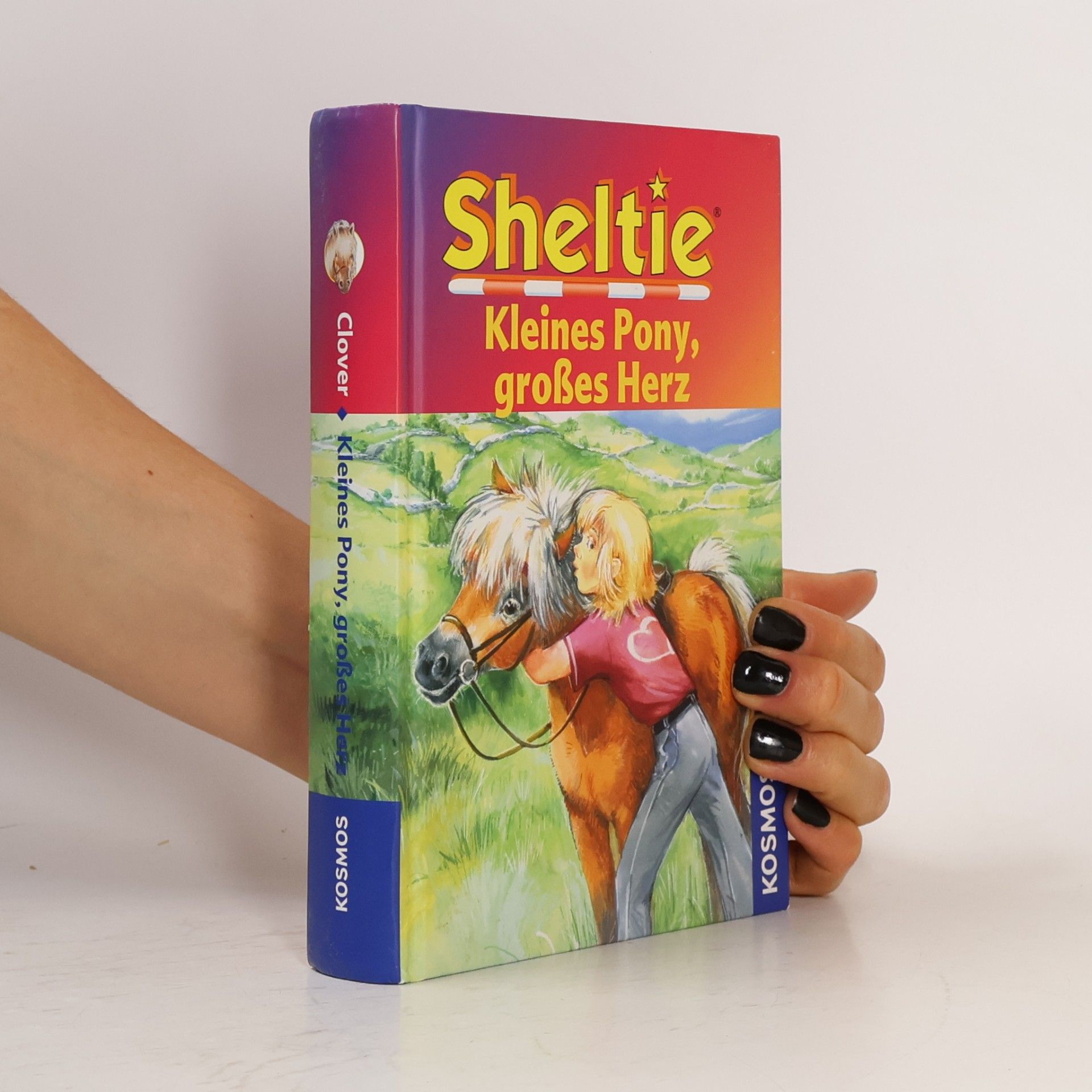 Sheltie - kleines Pony, großes Herz