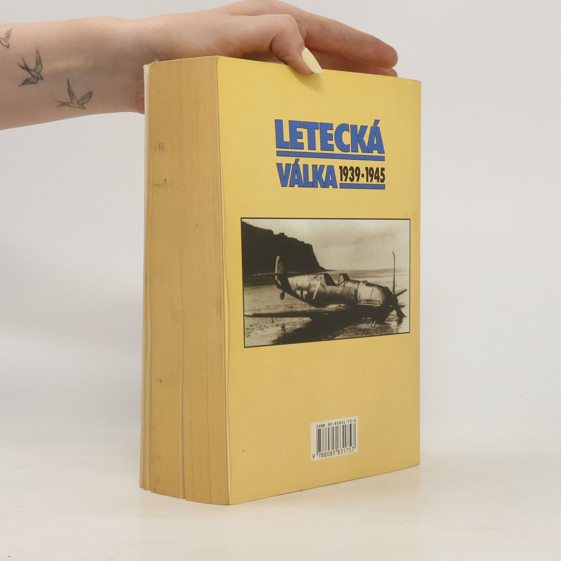 Janusz Piekałkiewicz Letecká válka 1939-1945
