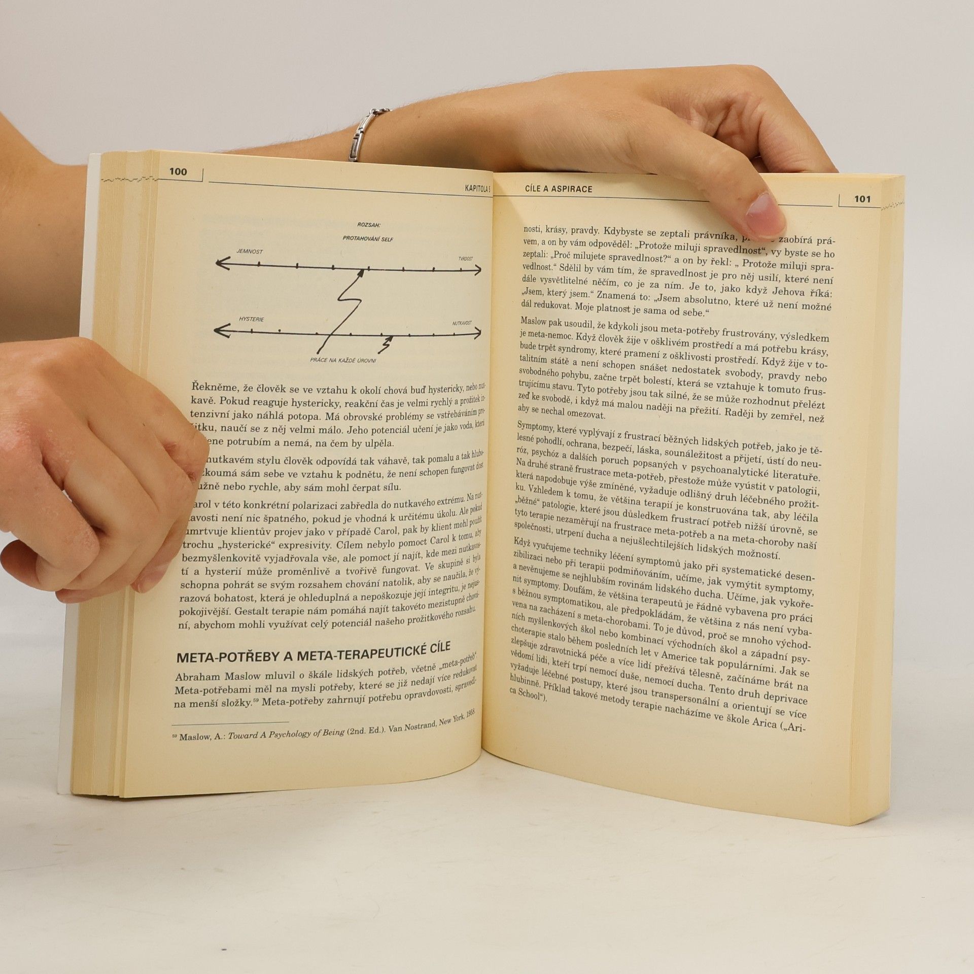 Joseph C. Joseph Chaim Zinker Tvůrčí proces v Gestalt terapii