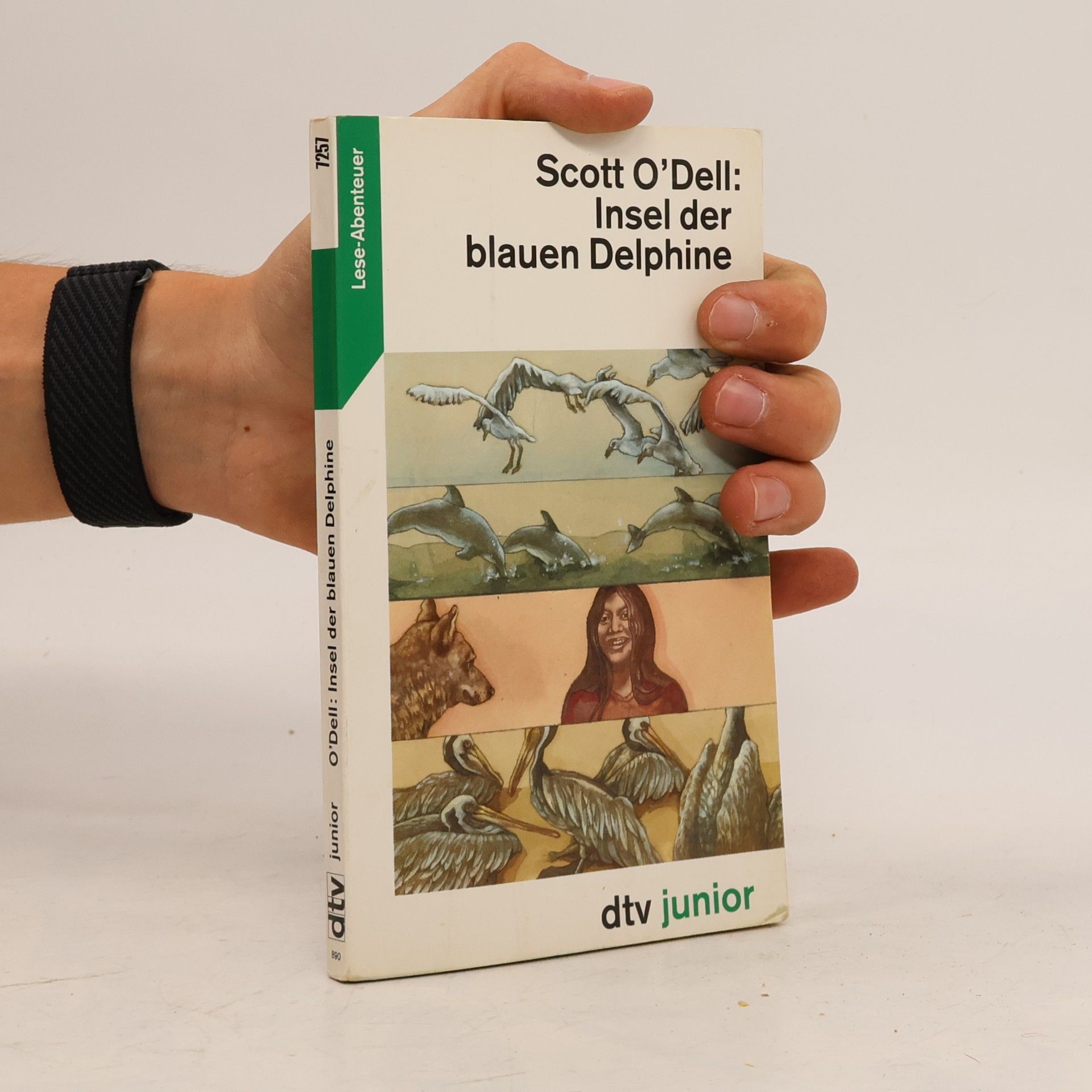 Insel der blauen Delphine