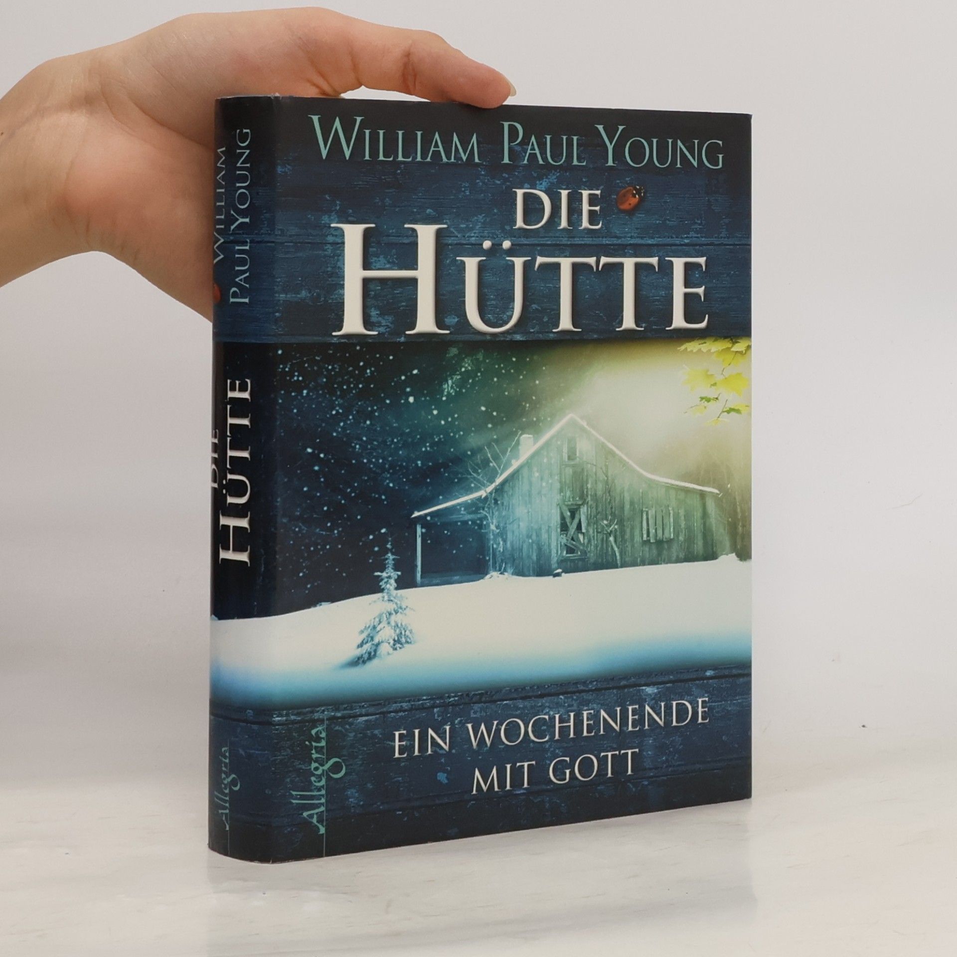 William P. Young Die Hütte