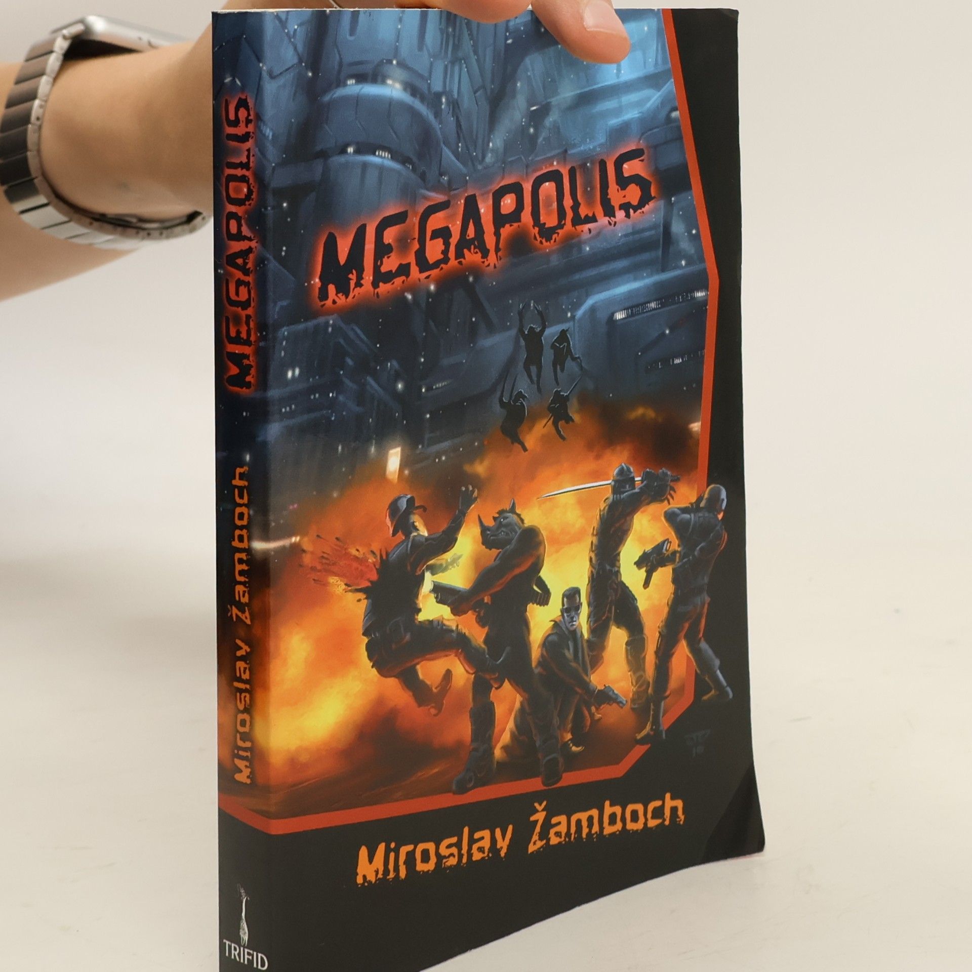 Miroslav Žamboch Megapolis