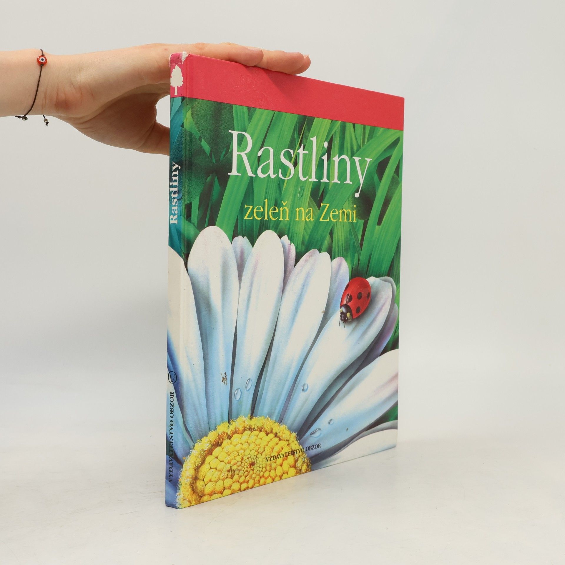 Kolektiv autorů Rastlinky zeleň na zemi