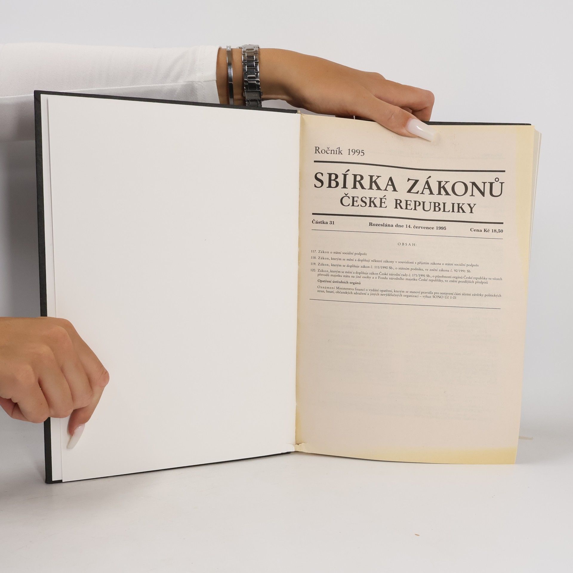 kolektiv Sbírka zákonů České republiky 31