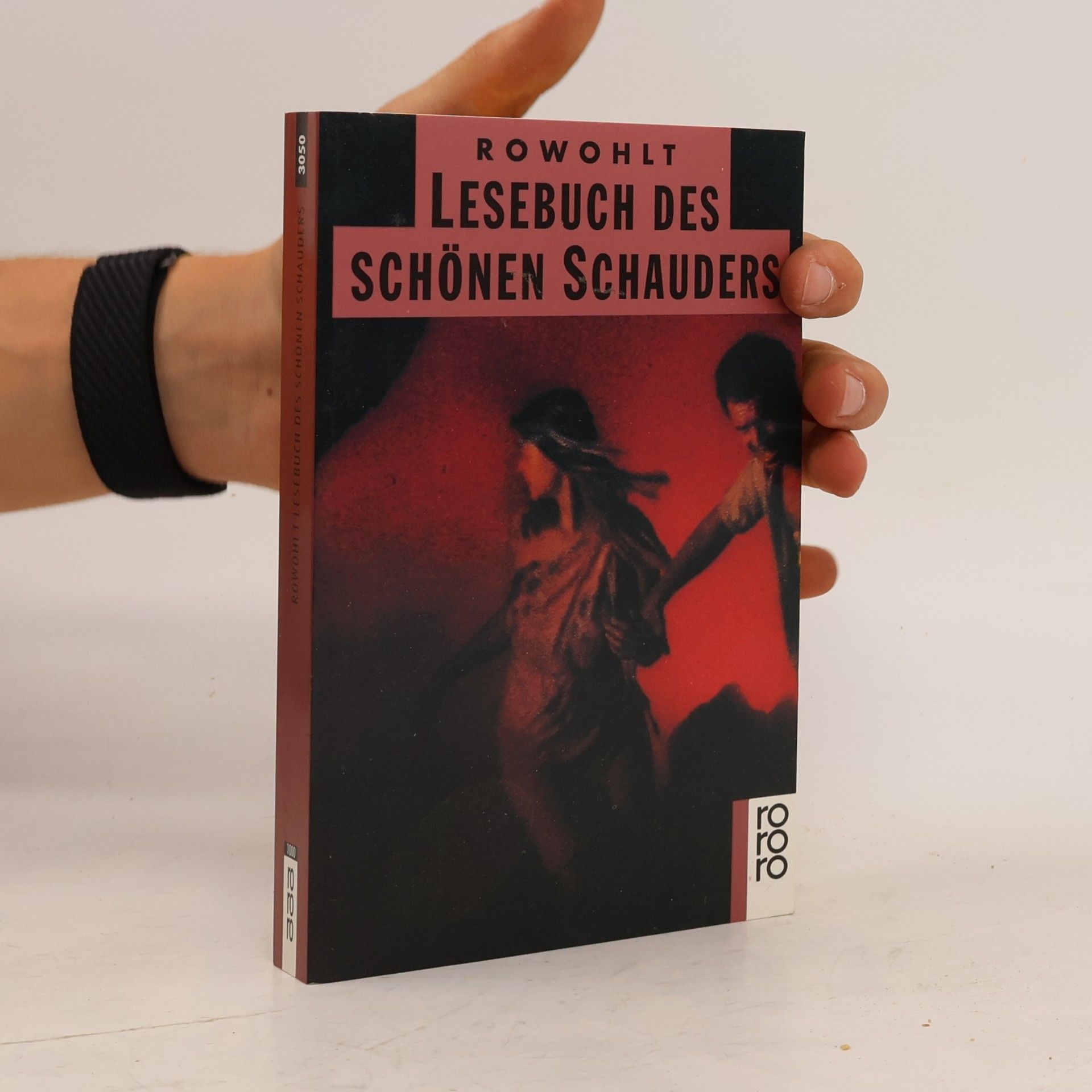 Jutta Schwarz Lesebuch des schönen Schauders