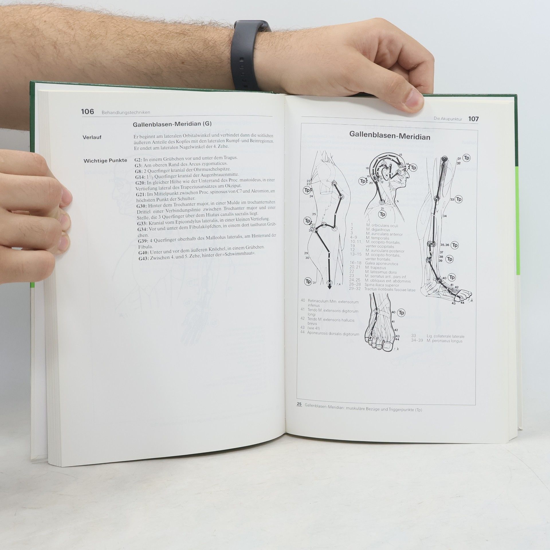 Hans Tilscher Reflextherapie - 3., völlig überarbeitete und erweiterte Auflage