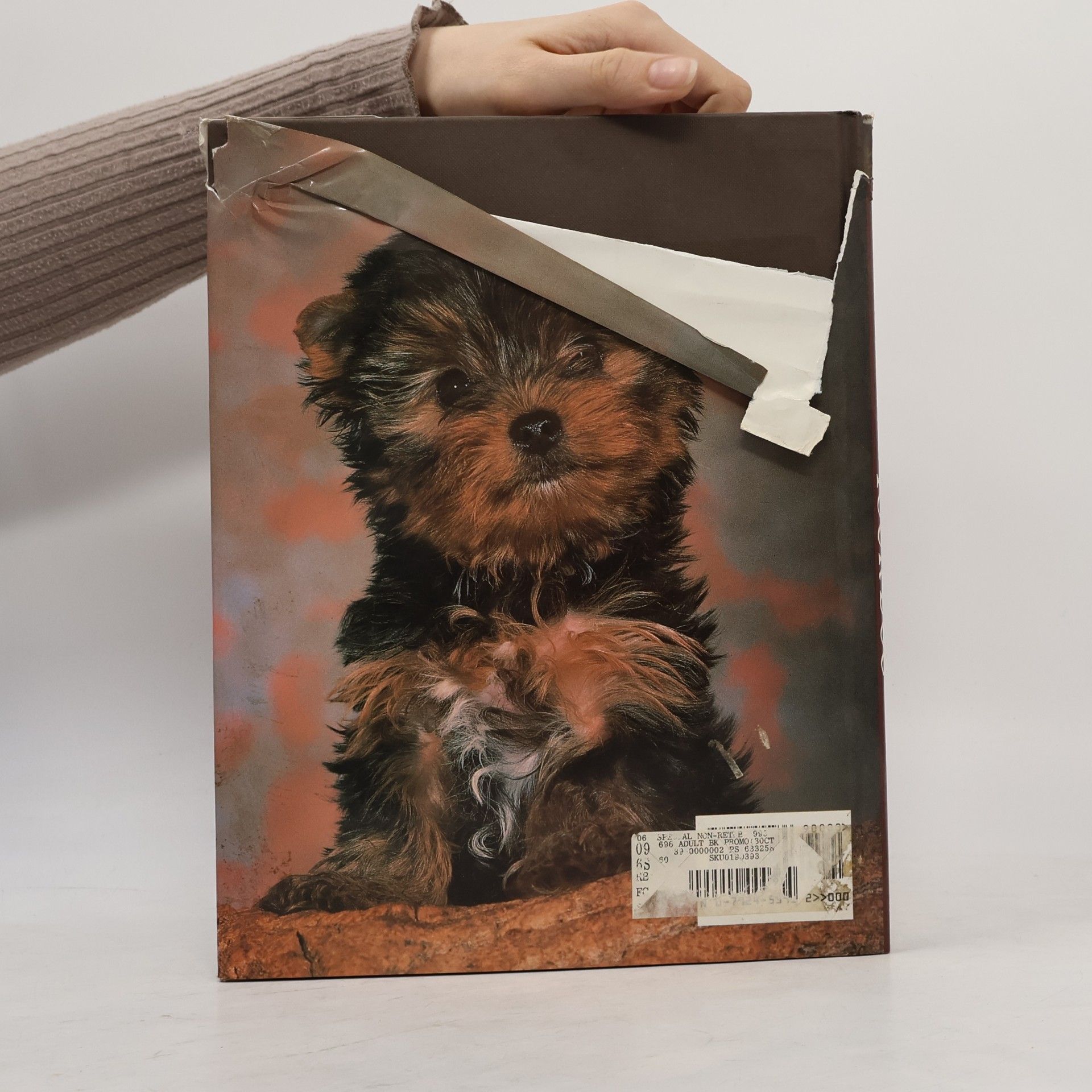 Marie Cahill The Owner's Comprehensive Guide to Training and Showing Your Dog