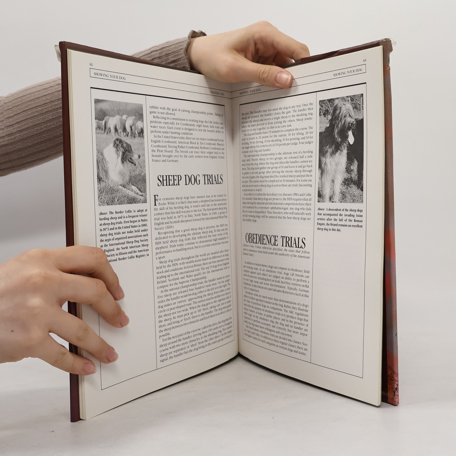 Marie Cahill The Owner's Comprehensive Guide to Training and Showing Your Dog