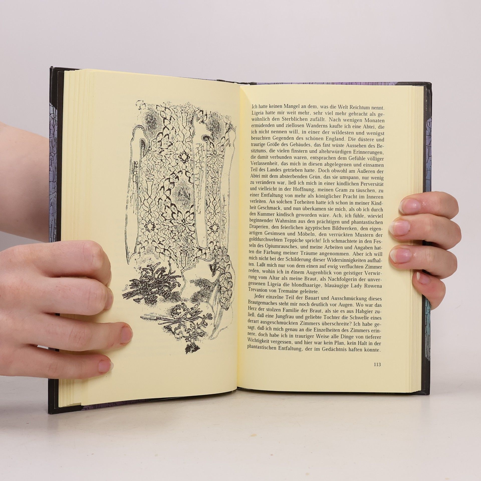 Edgar Allan Poe Phantastische Erzählungen