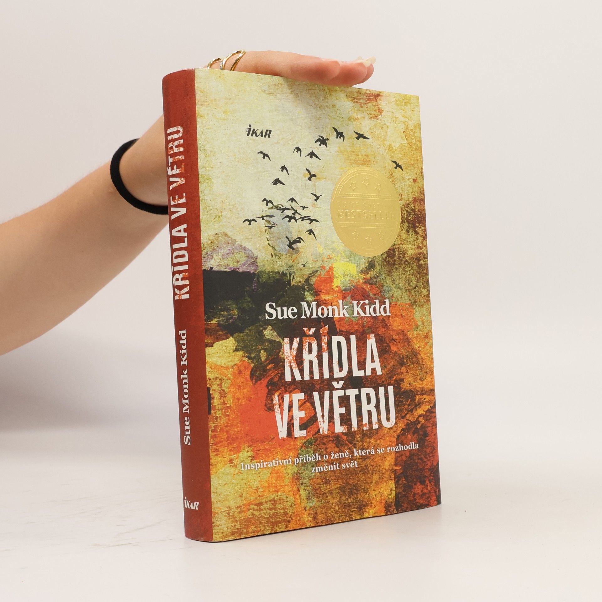 Sue Monk Kidd Křídla ve větru