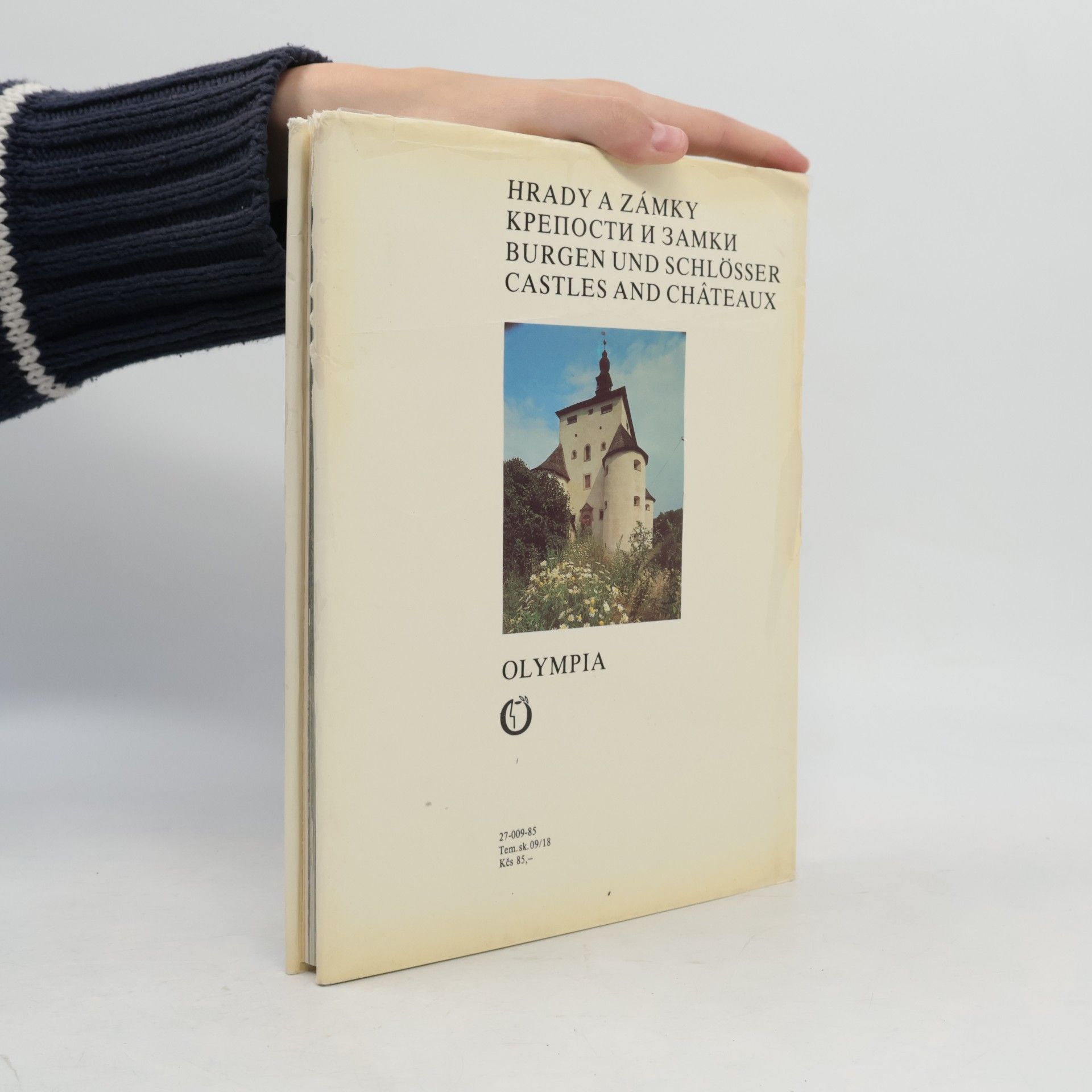 Kolektiv autorů Hrady a zámky