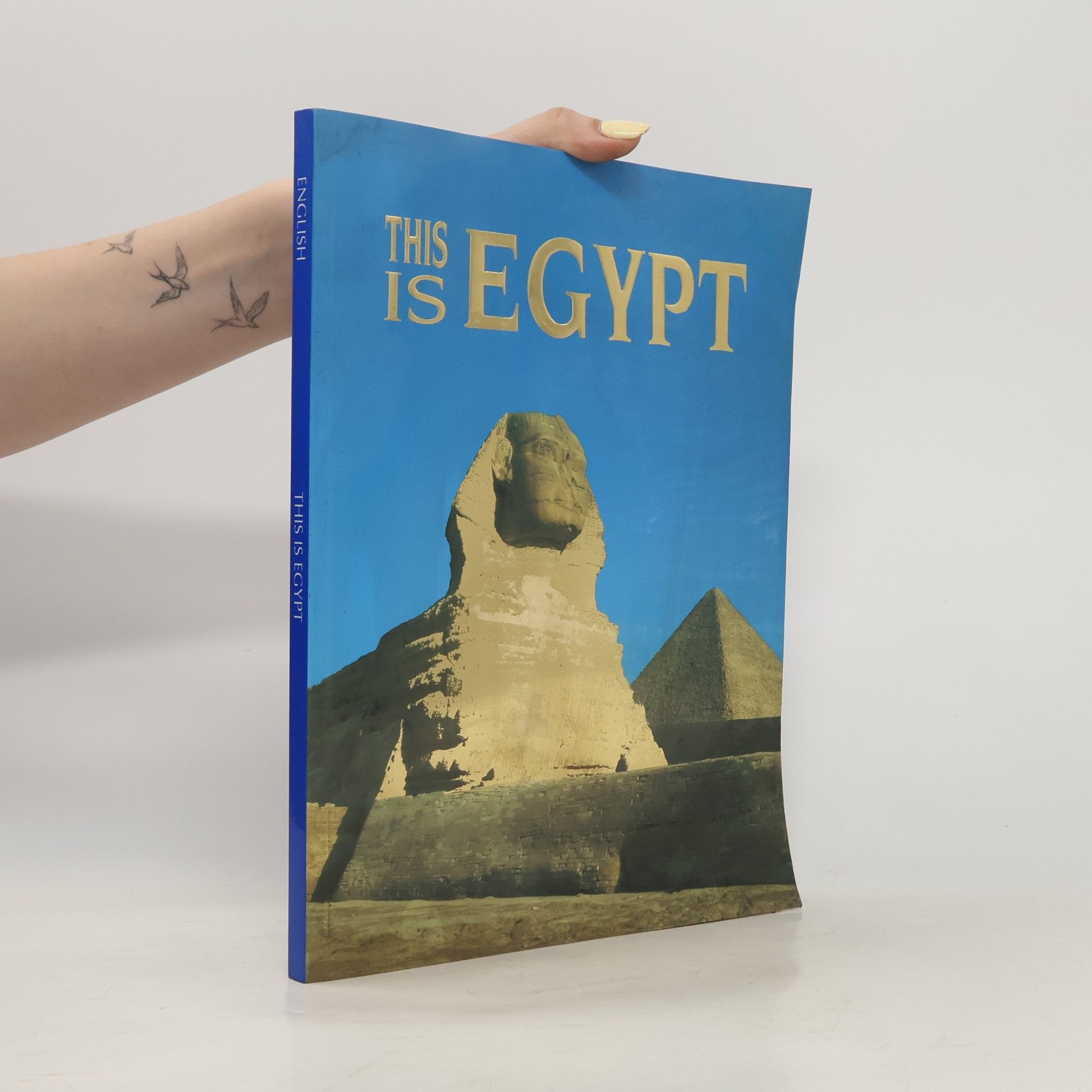 Autorenkollektiv This Is Egypt