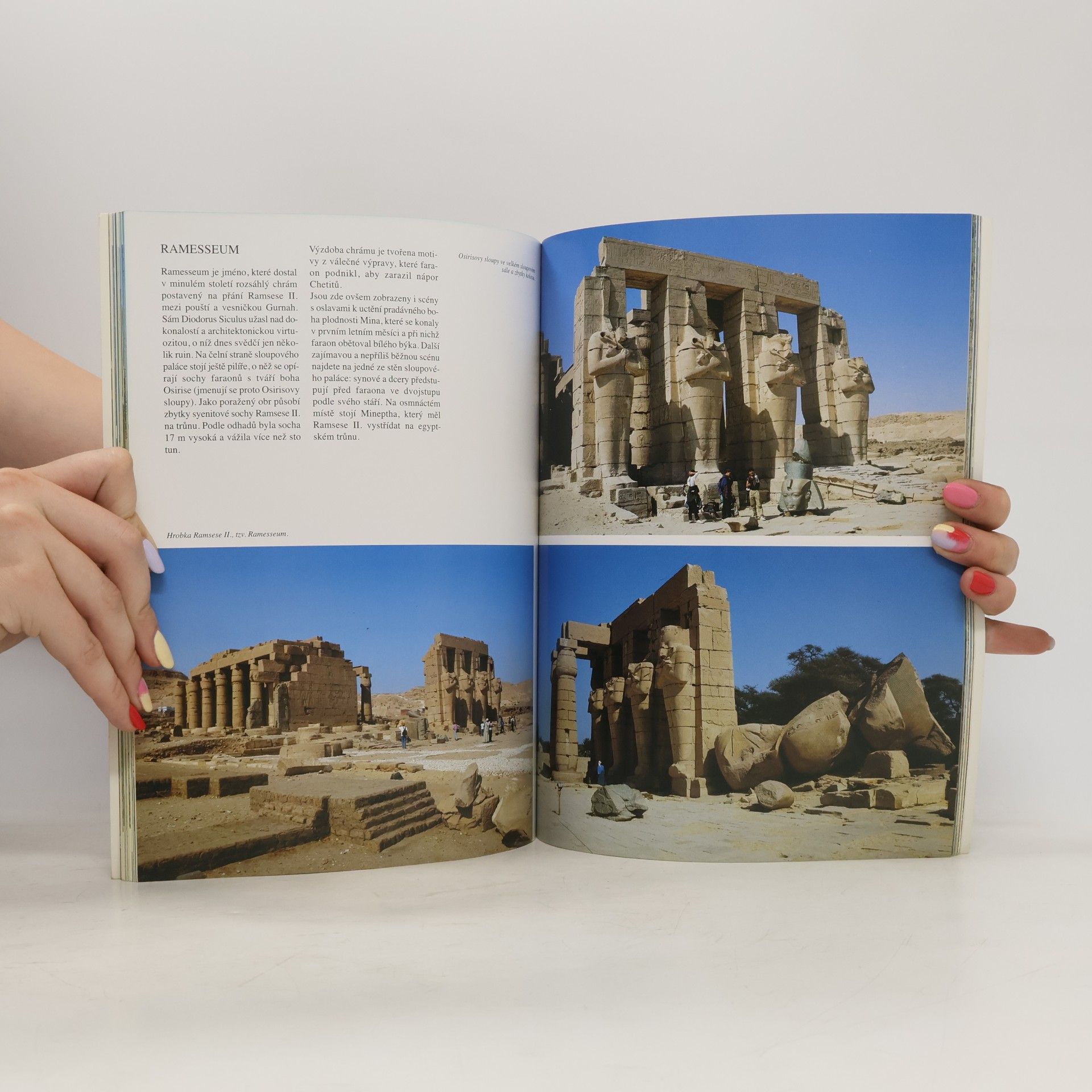Abbas Chalaby Napříč Egyptem. Od Káhiry po Abu Simbel a Sinaj