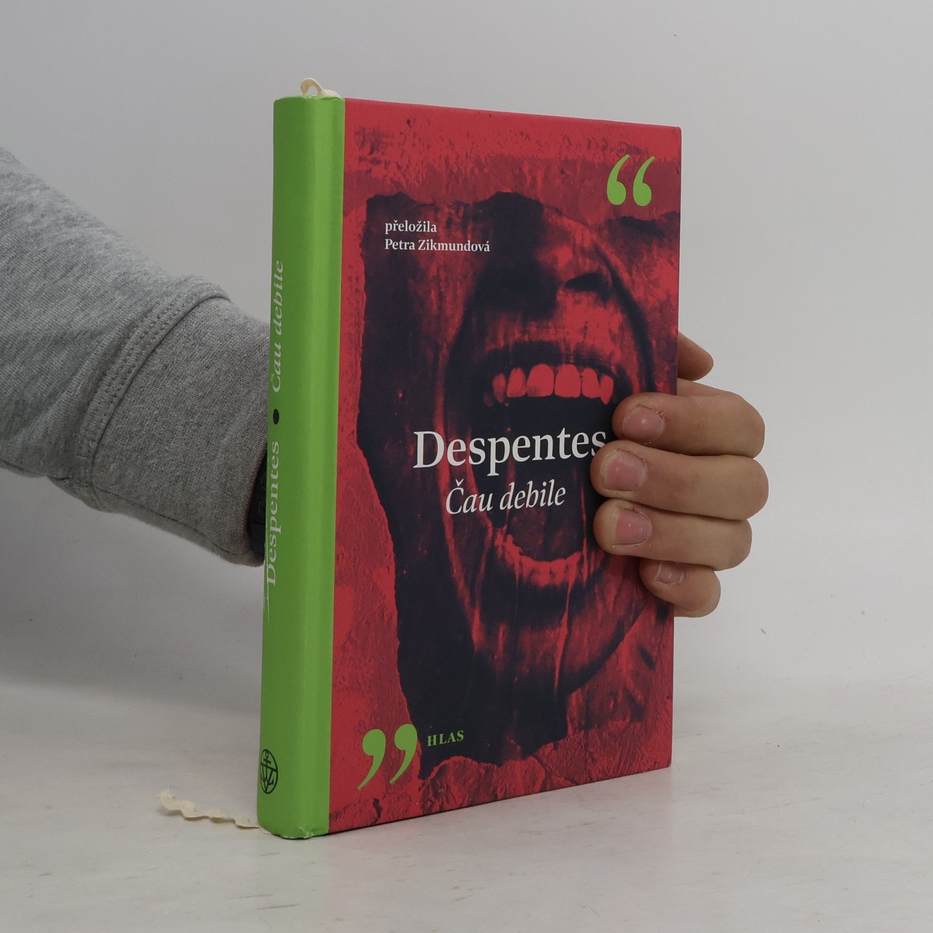 Virginie Despentes Čau debile