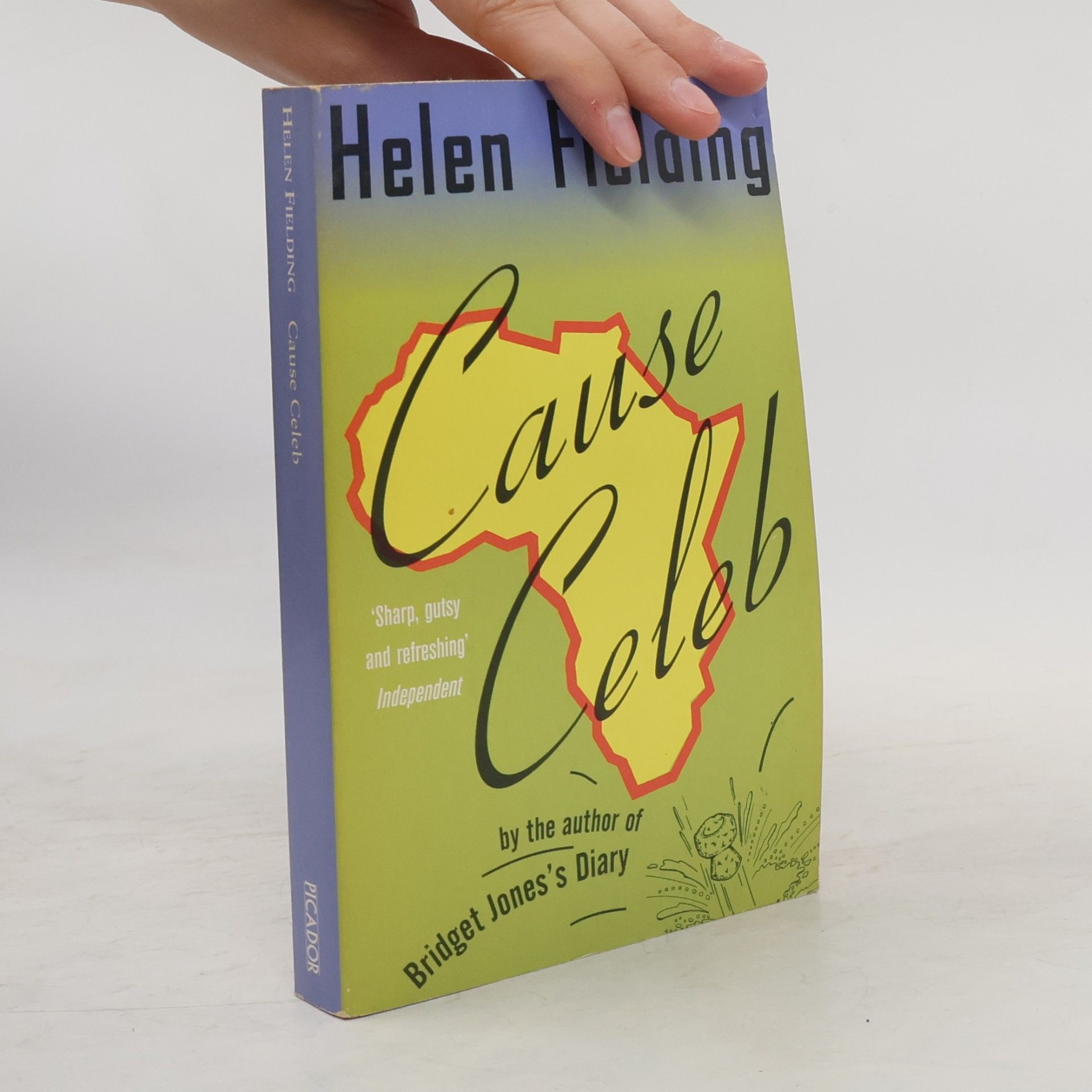 Helen Fielding Cause Celeb