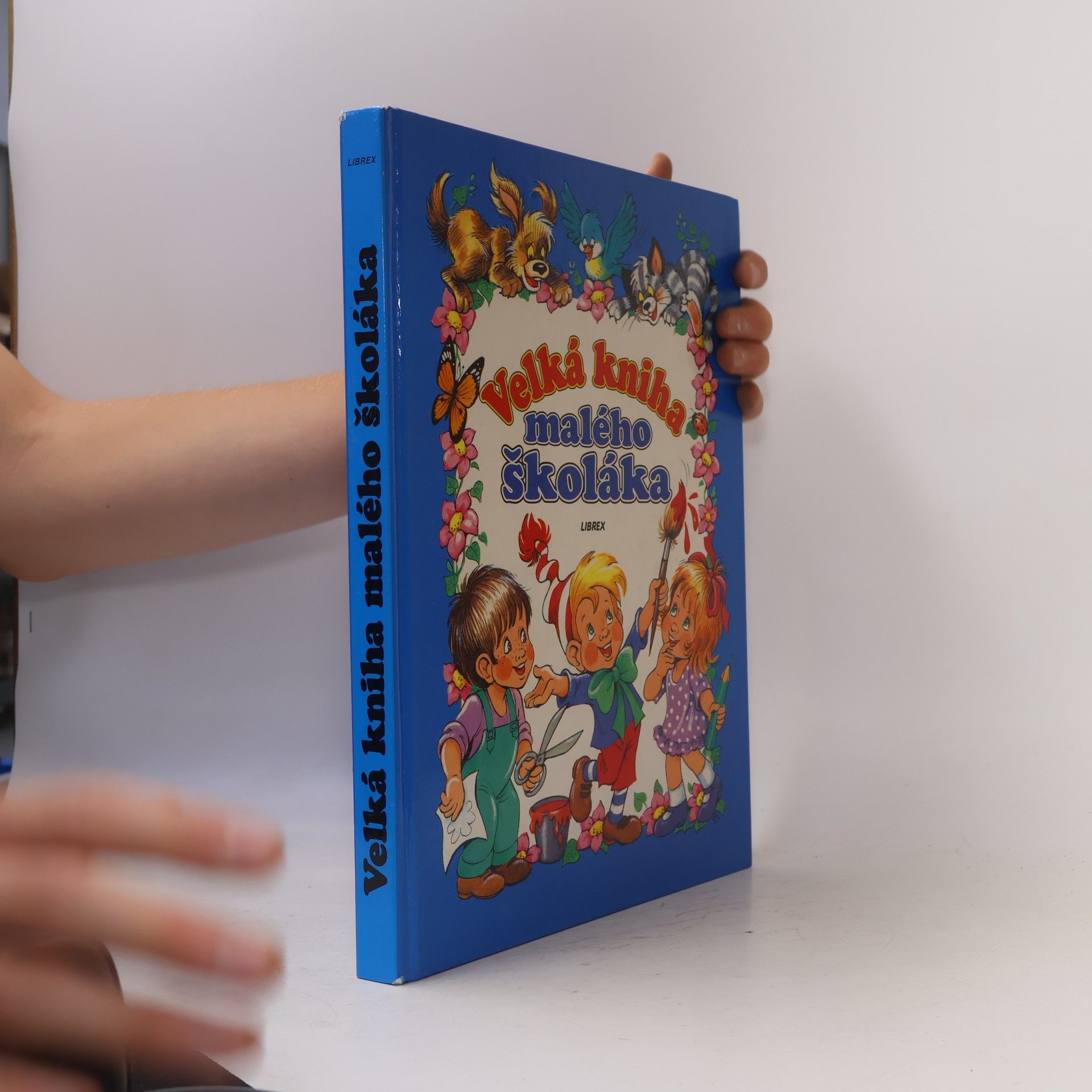 Anikó Csörgő Velká kniha malého školáka