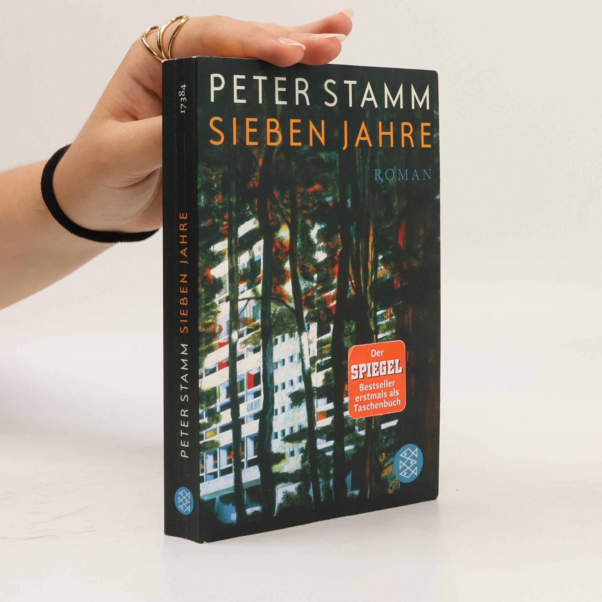 Peter Stamm Sieben Jahre