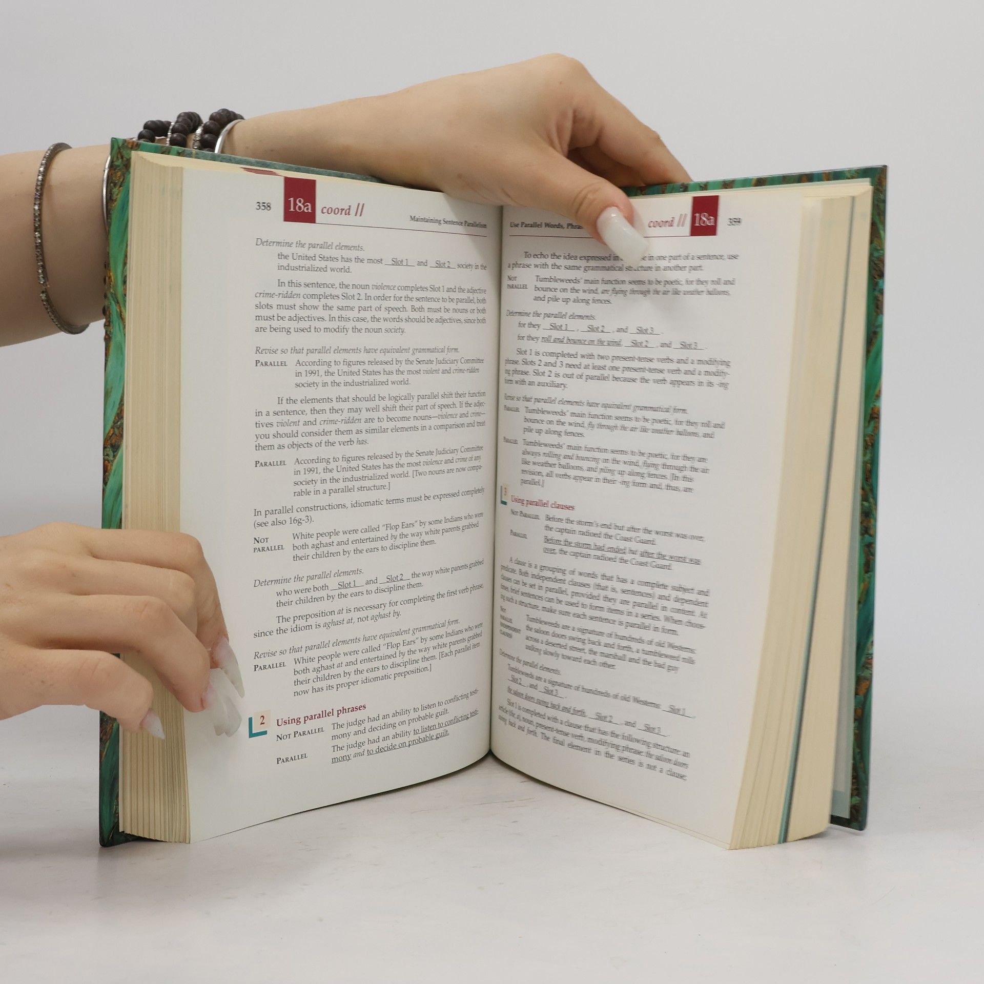 Leonard J. Rosen The Allyn & Bacon Handbook