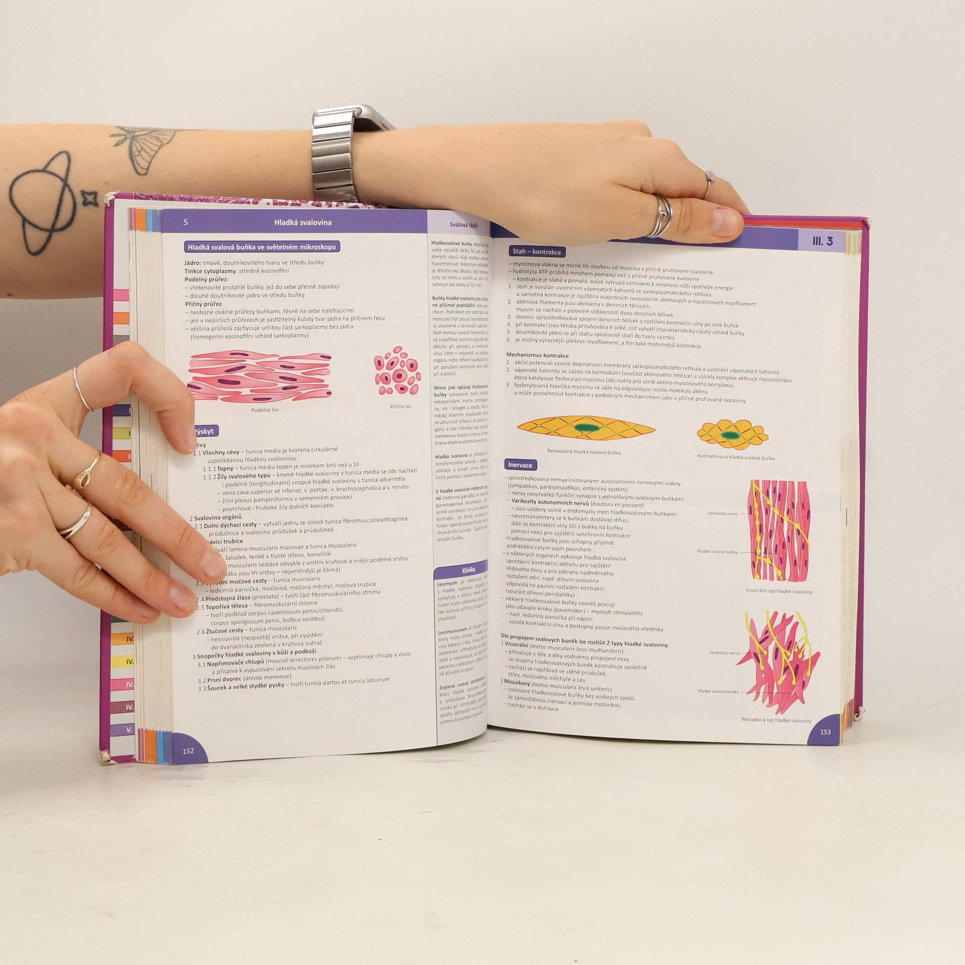 Ivan Varga Memorix histologie