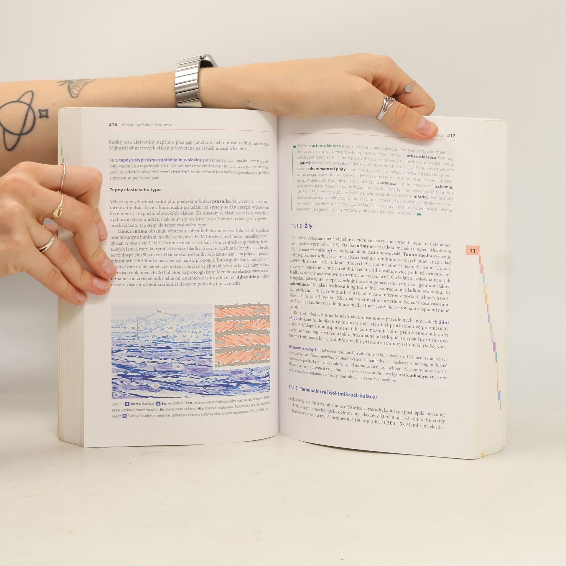 Renate Lüllmann-Rauch Histologie