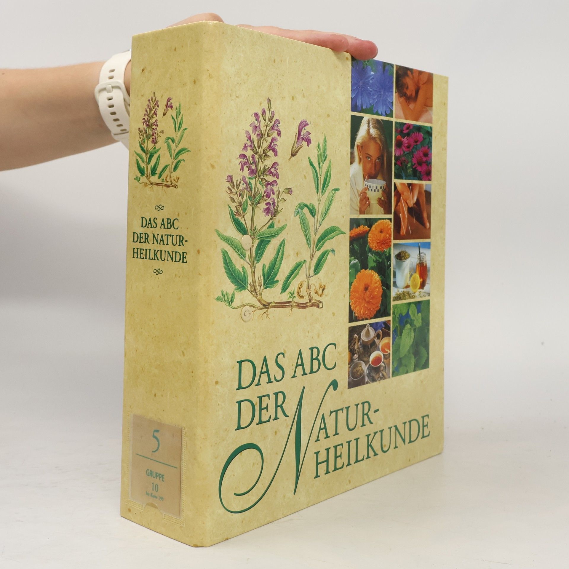 Autorenkollektiv Das ABC der Naturheilkunde 6. Gruppe 10-13