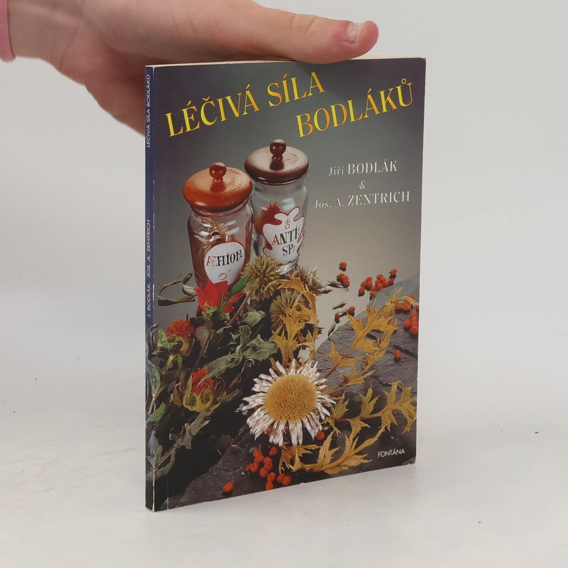 Léčivá síla bodláků