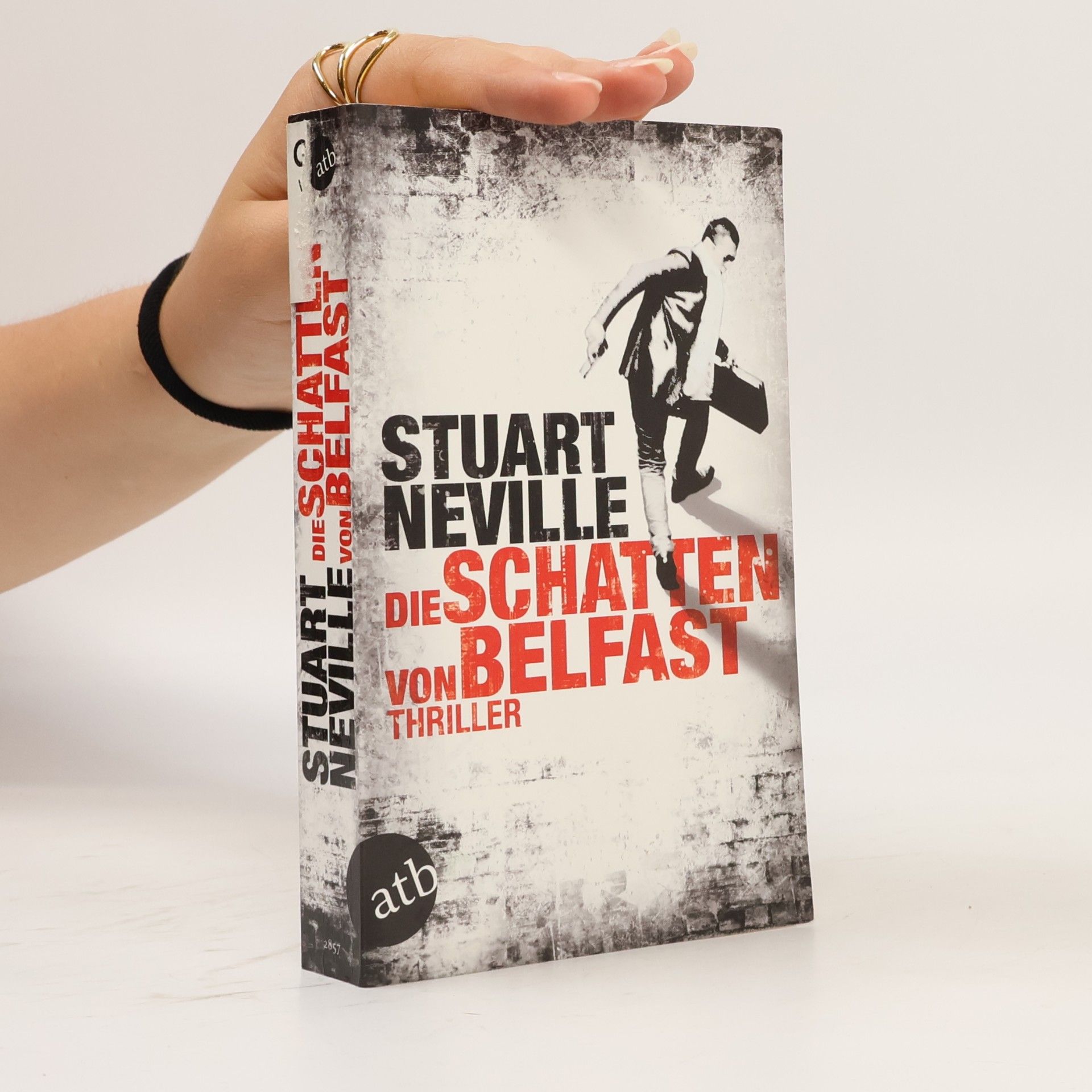 Stuart Neville Die Schatten von Belfast